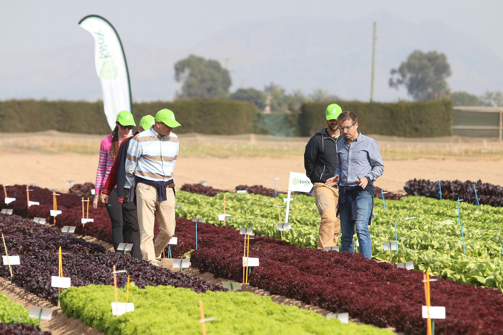 Fotogalería de las jornadas de puertas abiertas de Rijk Zwaan en Cartagena