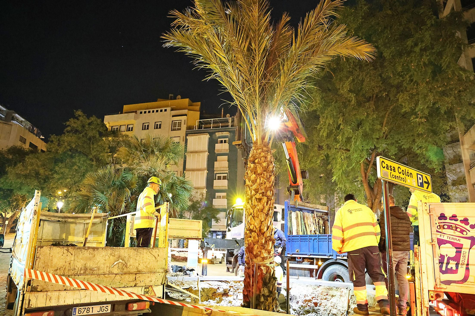 Las mejores imágenes de la plantación de la nueva palmera de Huelvaga