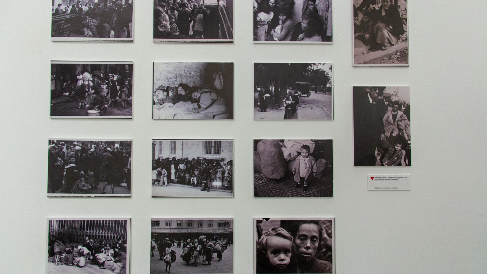 La exposición está dividida en bloques La exposición está dividida en bloques