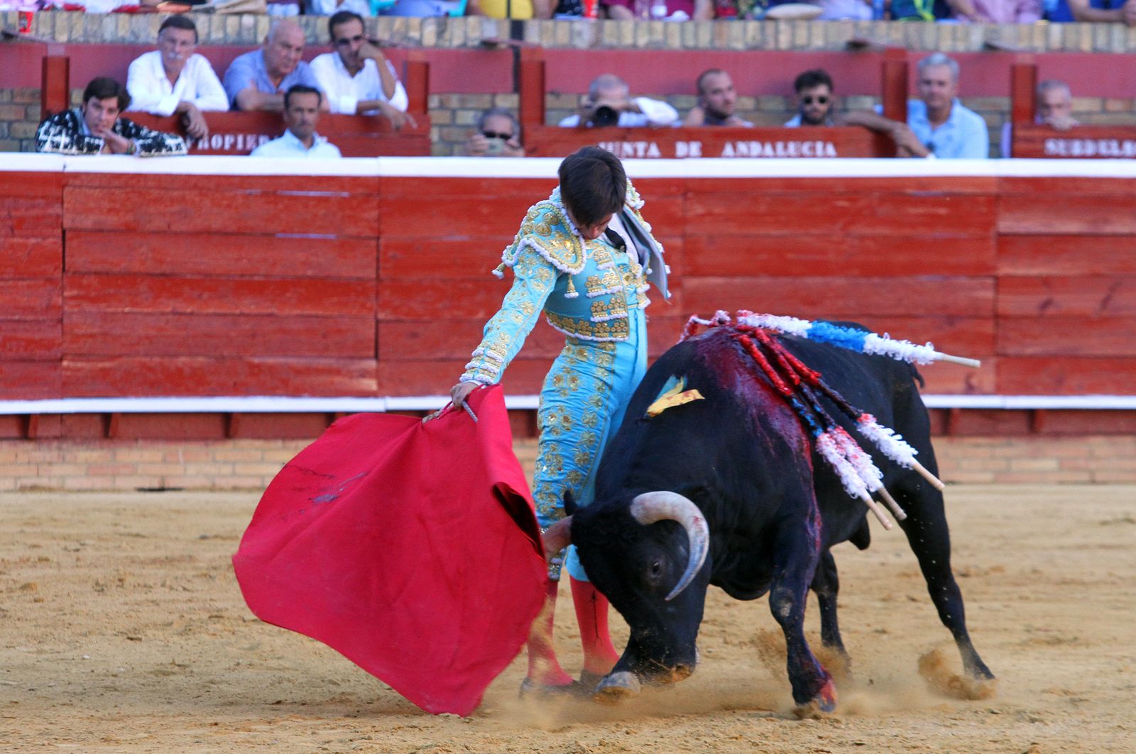 Imágenes de la Novillada de Rafael Serna, Emilio Silvera y Rodrigo Molina.