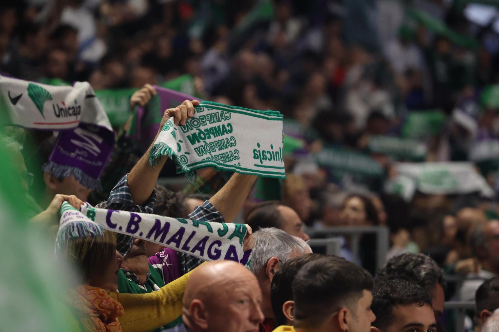 Búscate en las gradas del Carpena en el Unicaja-Breogán