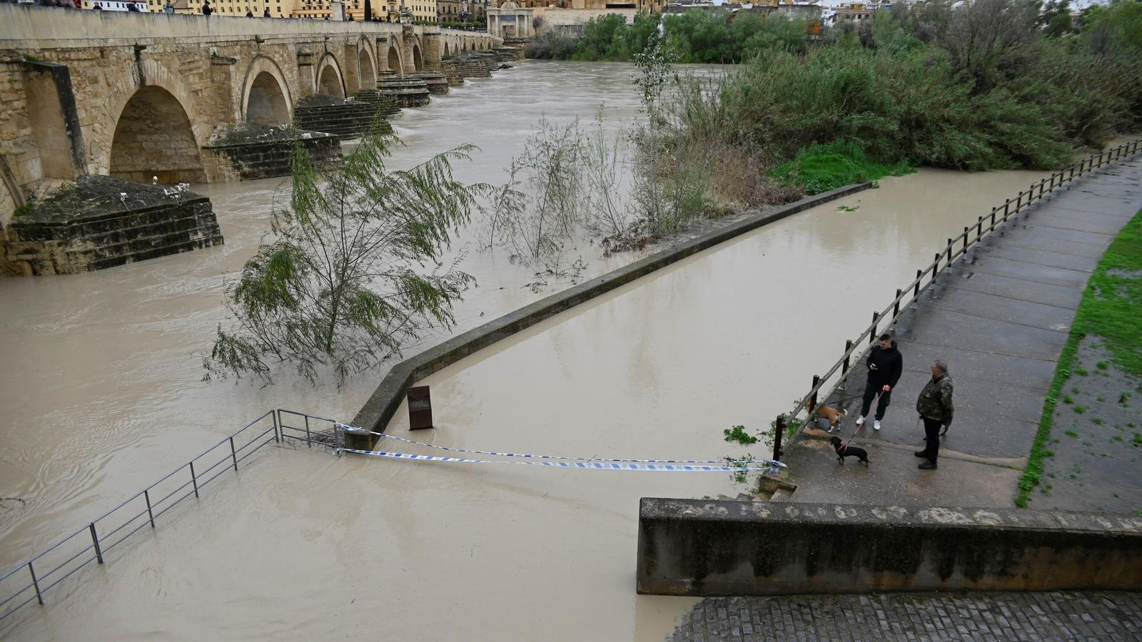 Crecida del río Guadalquivir en Córdoba.