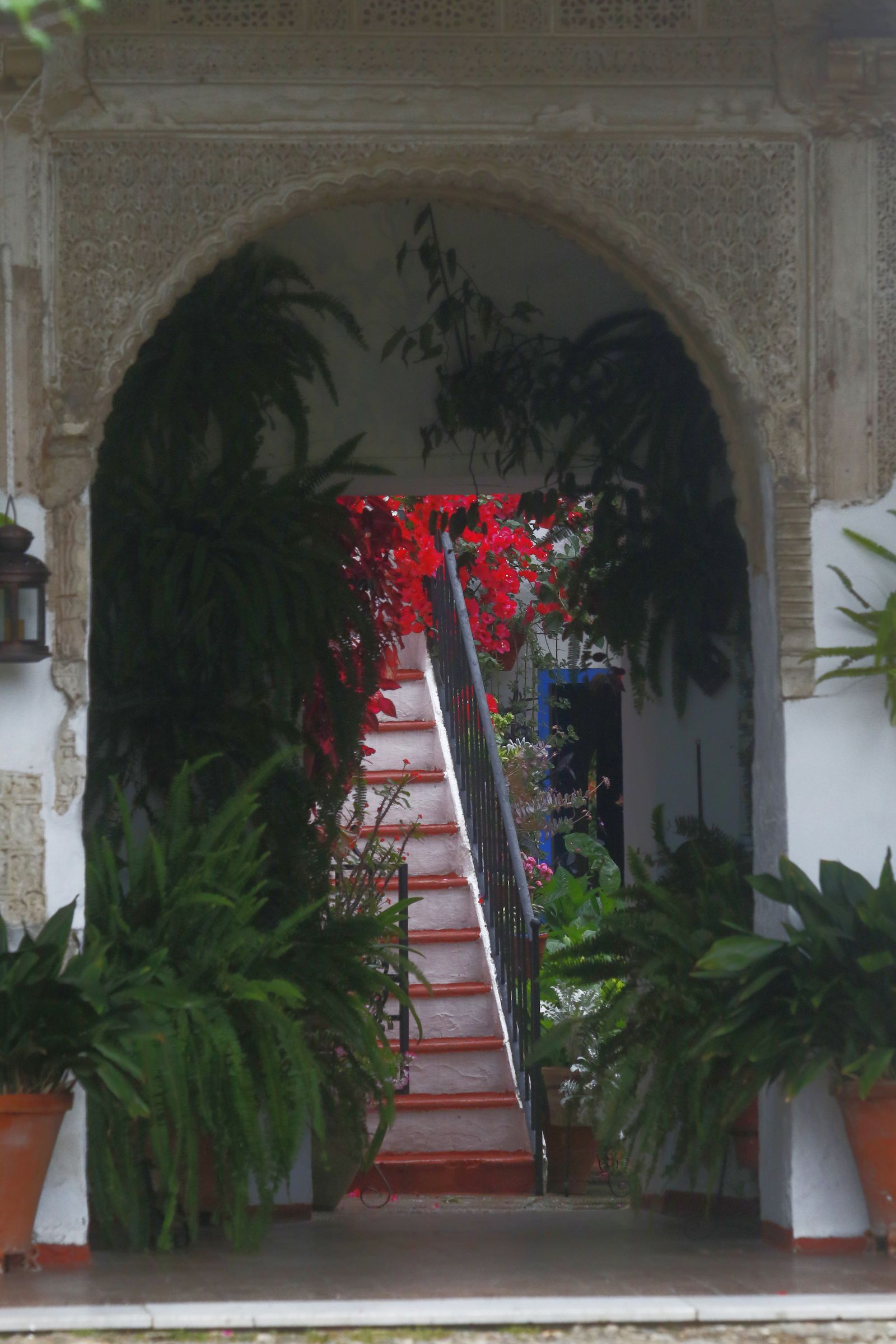 Los Patios  de Córdoba en tiempos de crisis: Siete Revueltas, 1