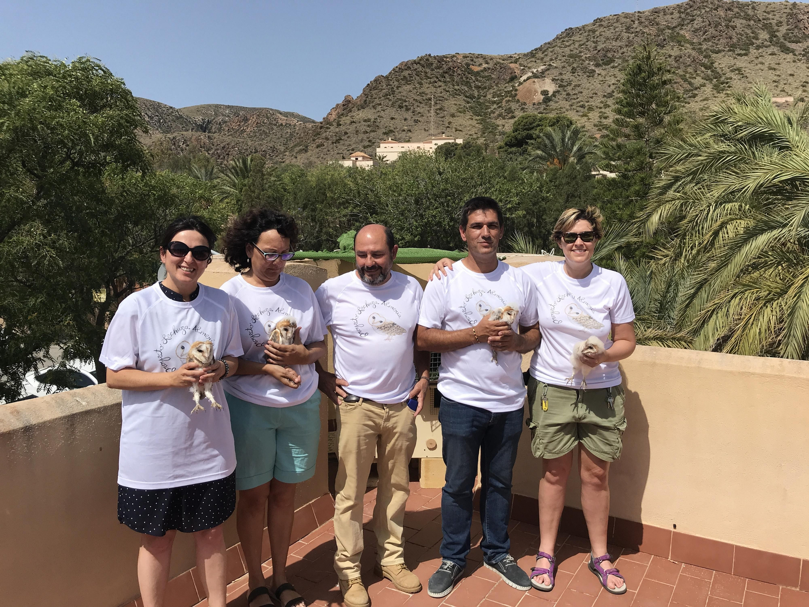 Fotogalería de las nuevas crías de lechuza en Rodalquilar