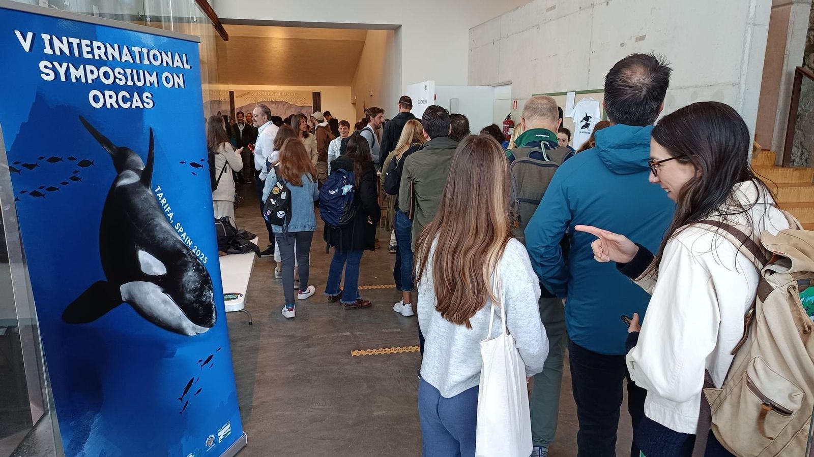 Expertos internacionales se reúnen en Tarifa durante el V Simposium Internacional de Orcas.