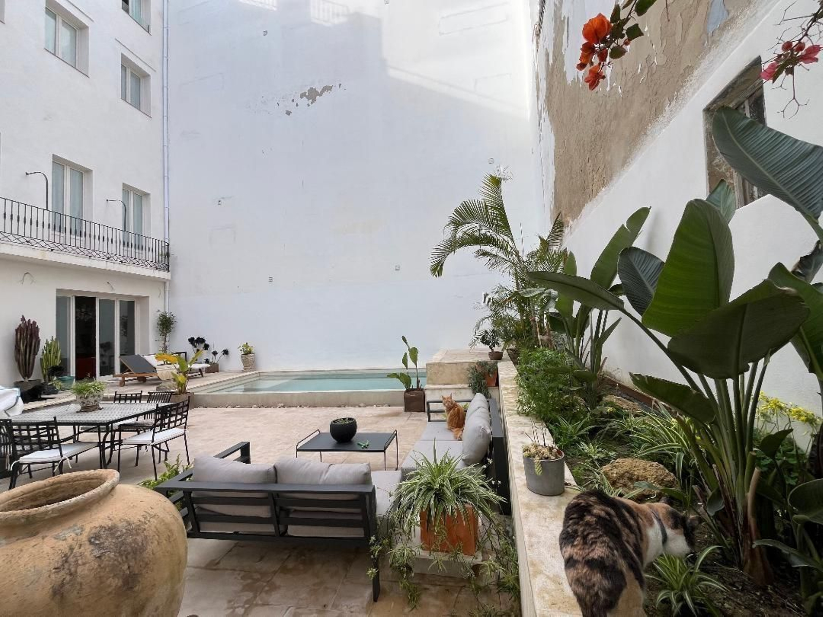 Espectacuilar casa en el casco histórico de Cádiz