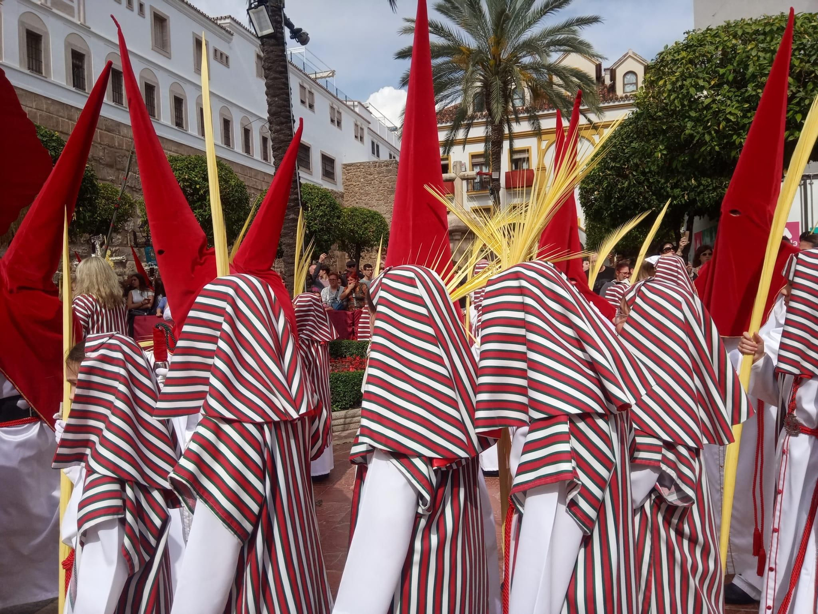 La Pollinica el Domingo de Ramos en Marbella, en imágenes
