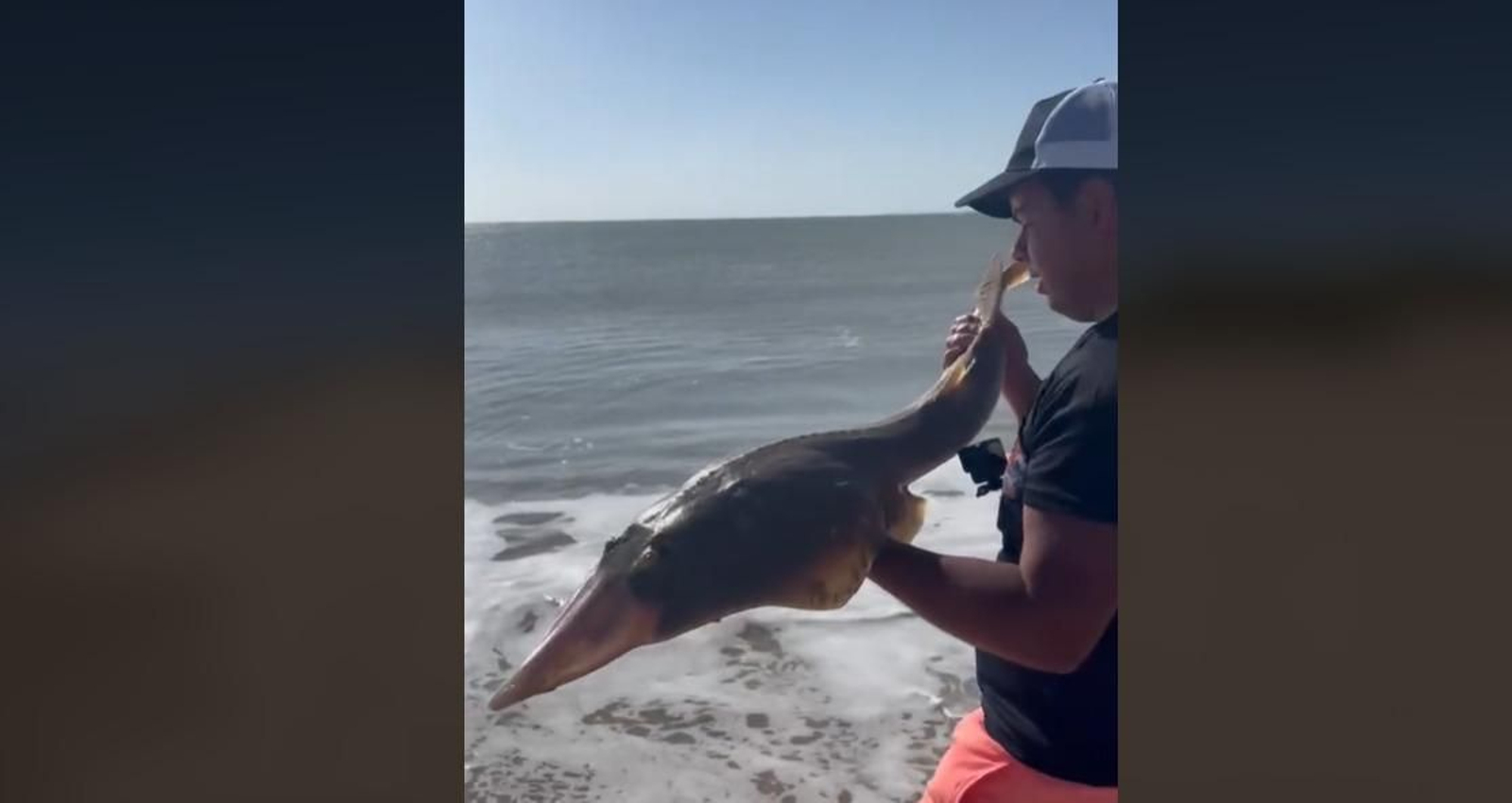 Un joven con un pez guitarra en las manos en la costa gaditana