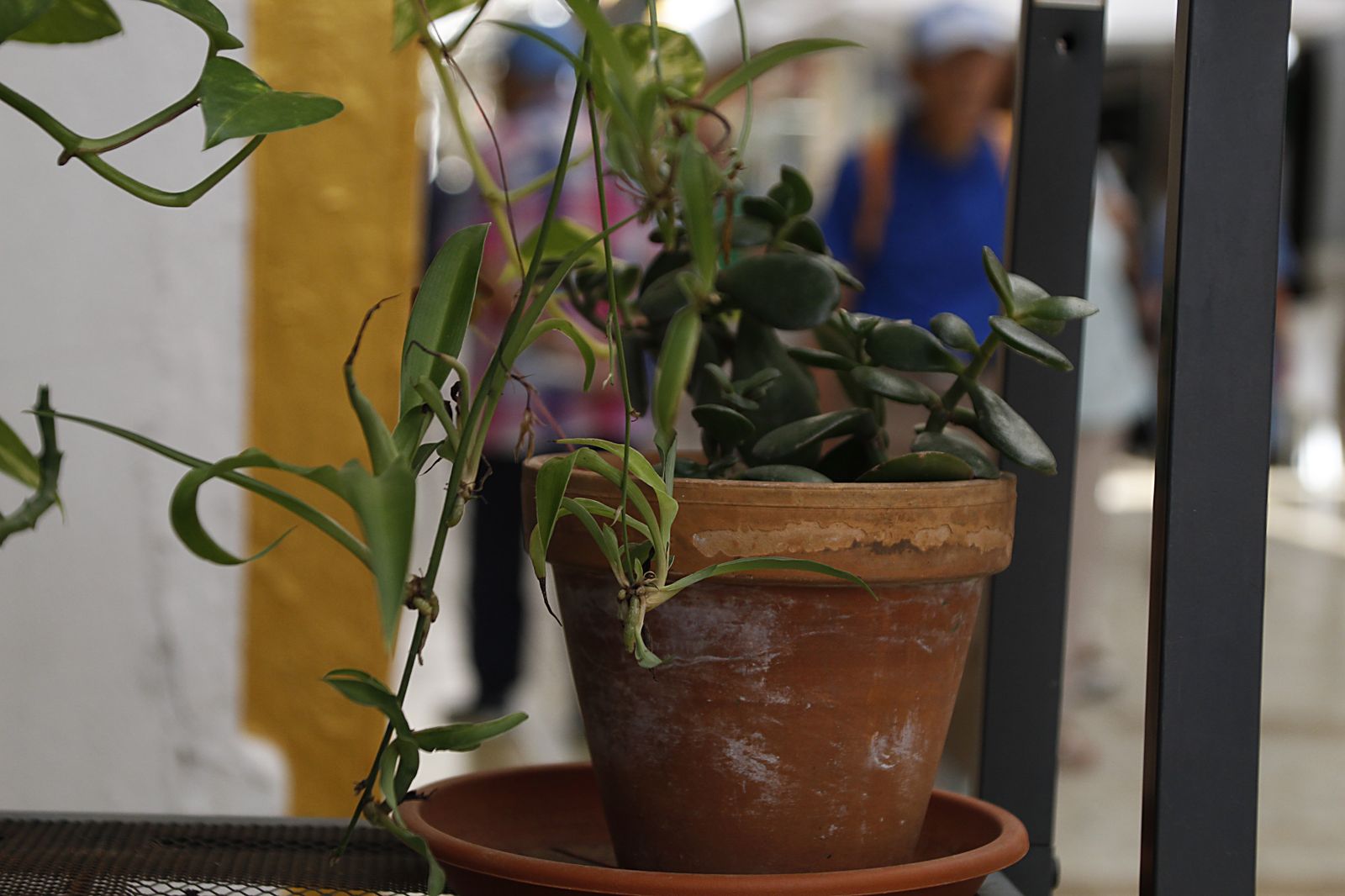 Imágenes del lunes 9 de octubre en Huelva