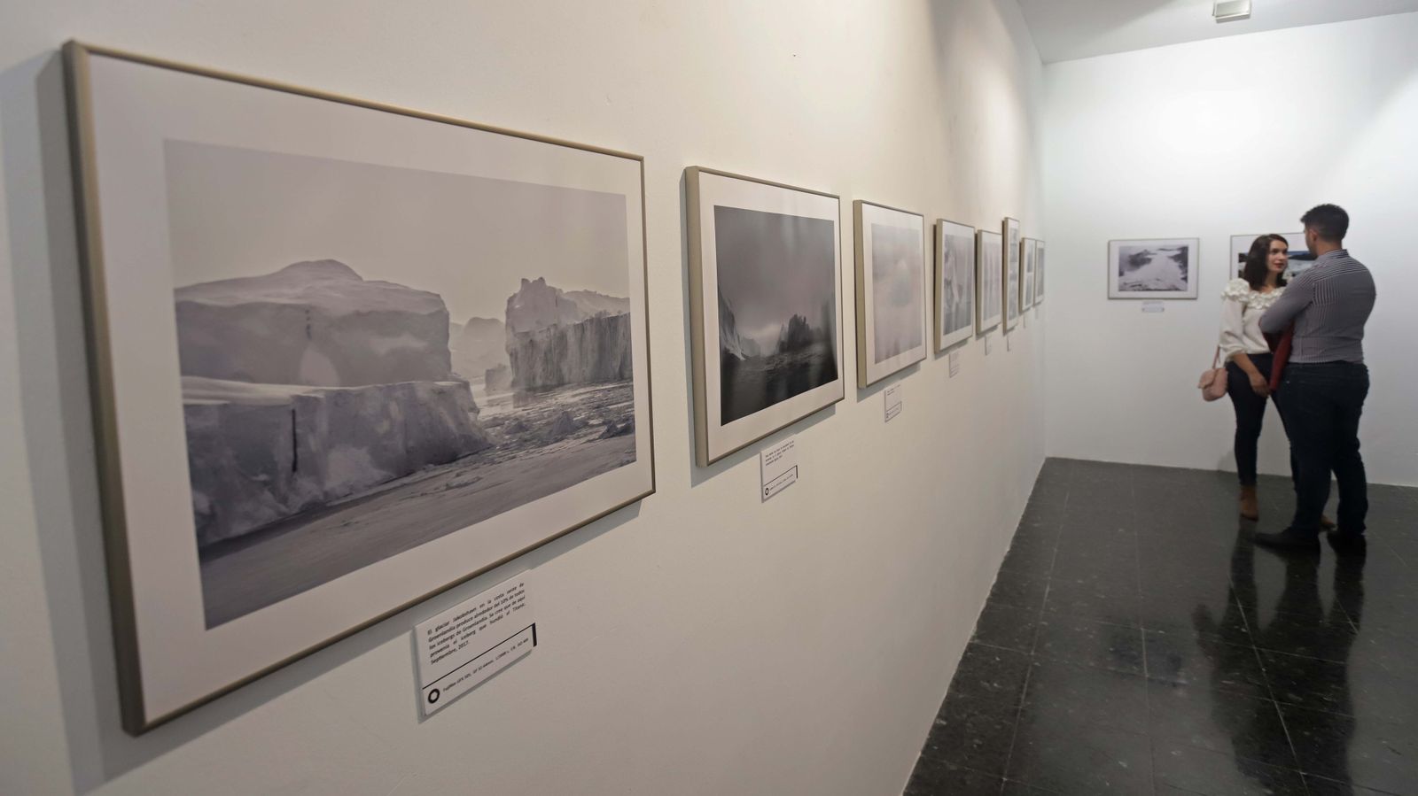 Fotos de las exposiciones de la Galería Manolo Ales en La Línea