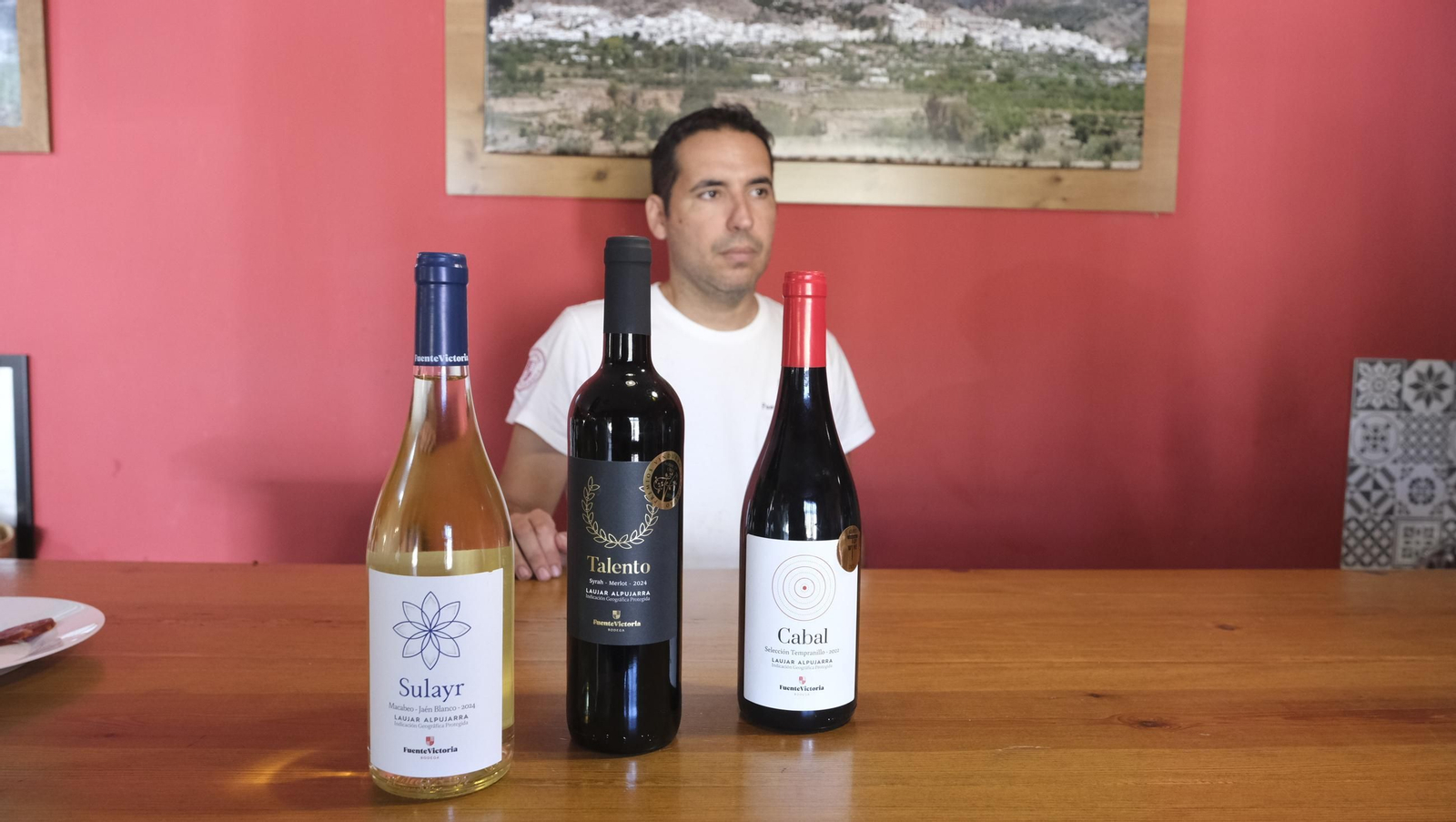 Las imágenes de la vendimia en la zona de Laujar de Andarax