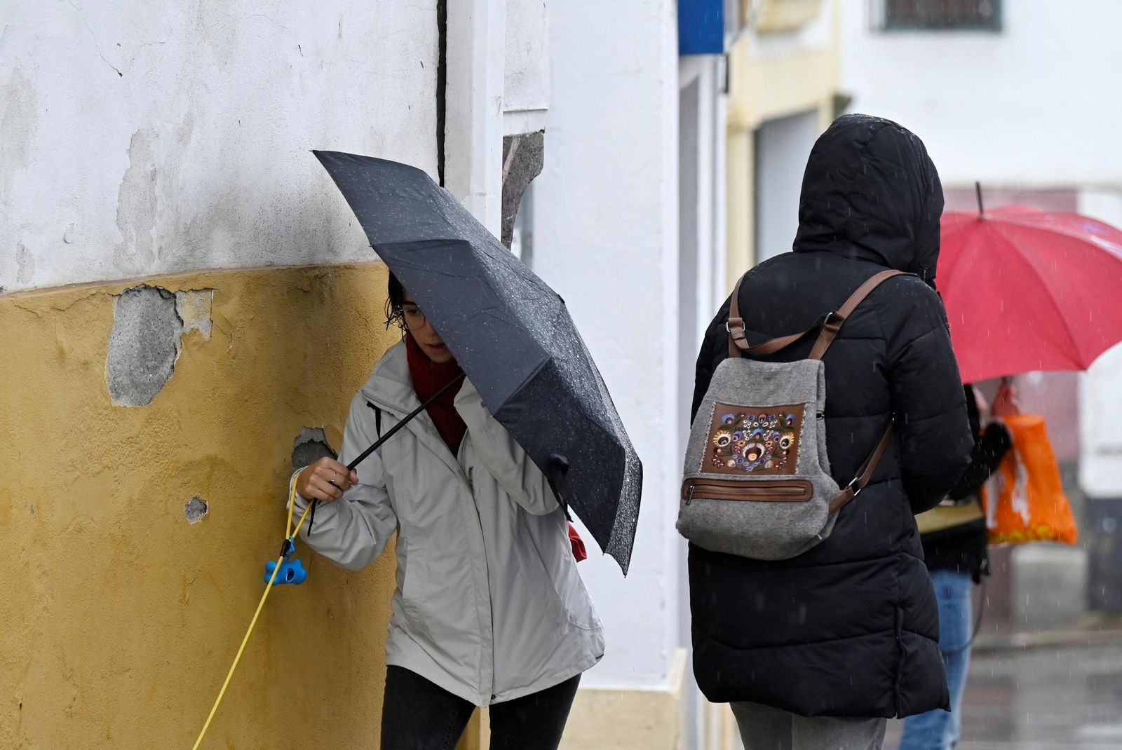 La lluvia que deja la borrasca Konrad en Córdoba, en imágenes