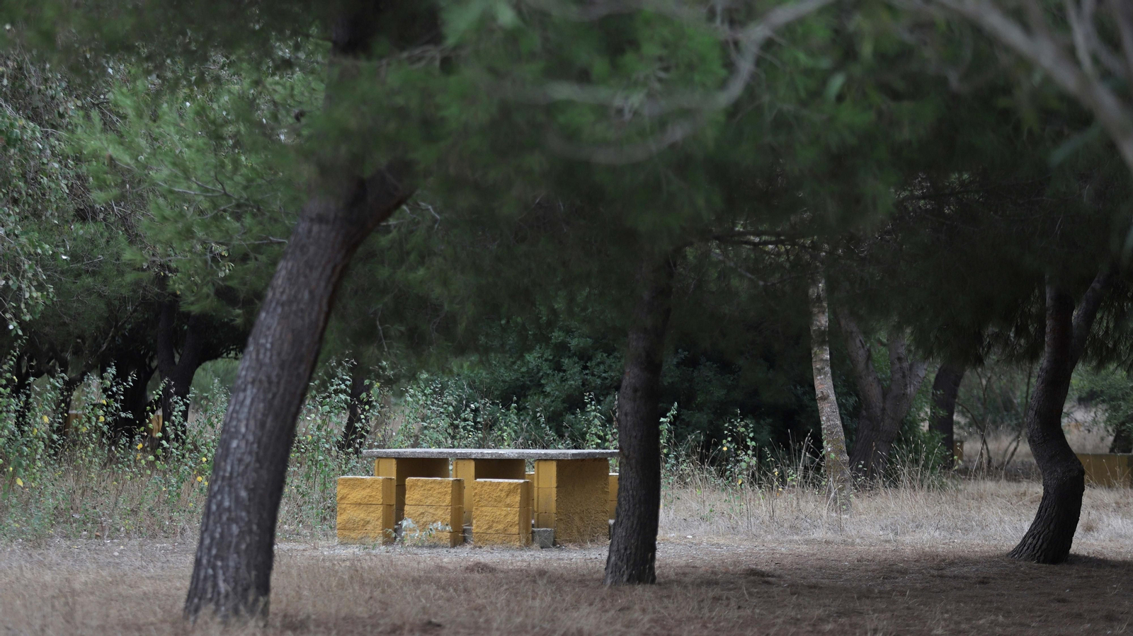 Fotos del parque del Torrejón en Algeciras