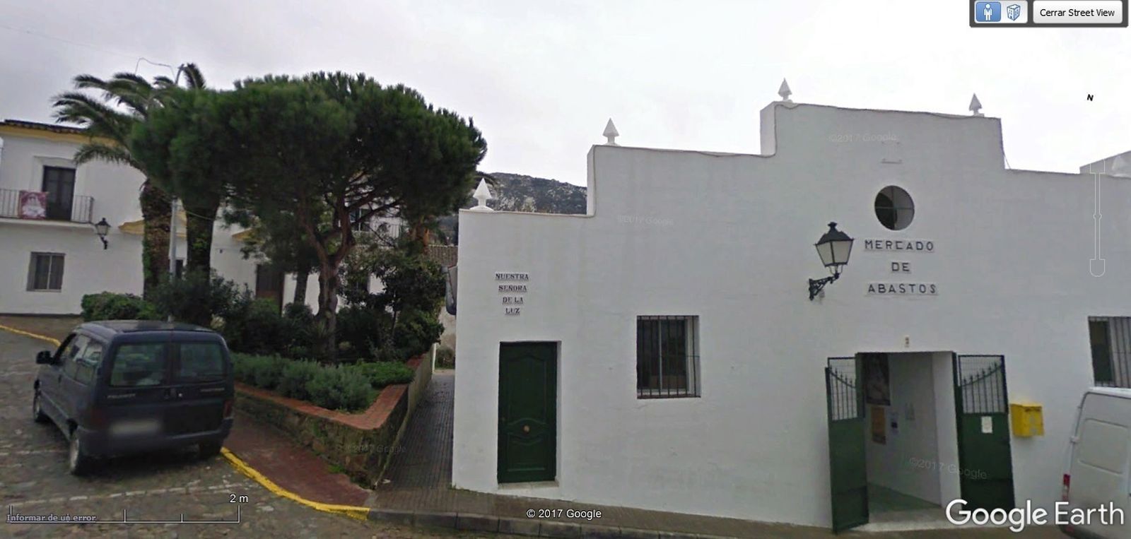 Los árboles, antes de ser talados.