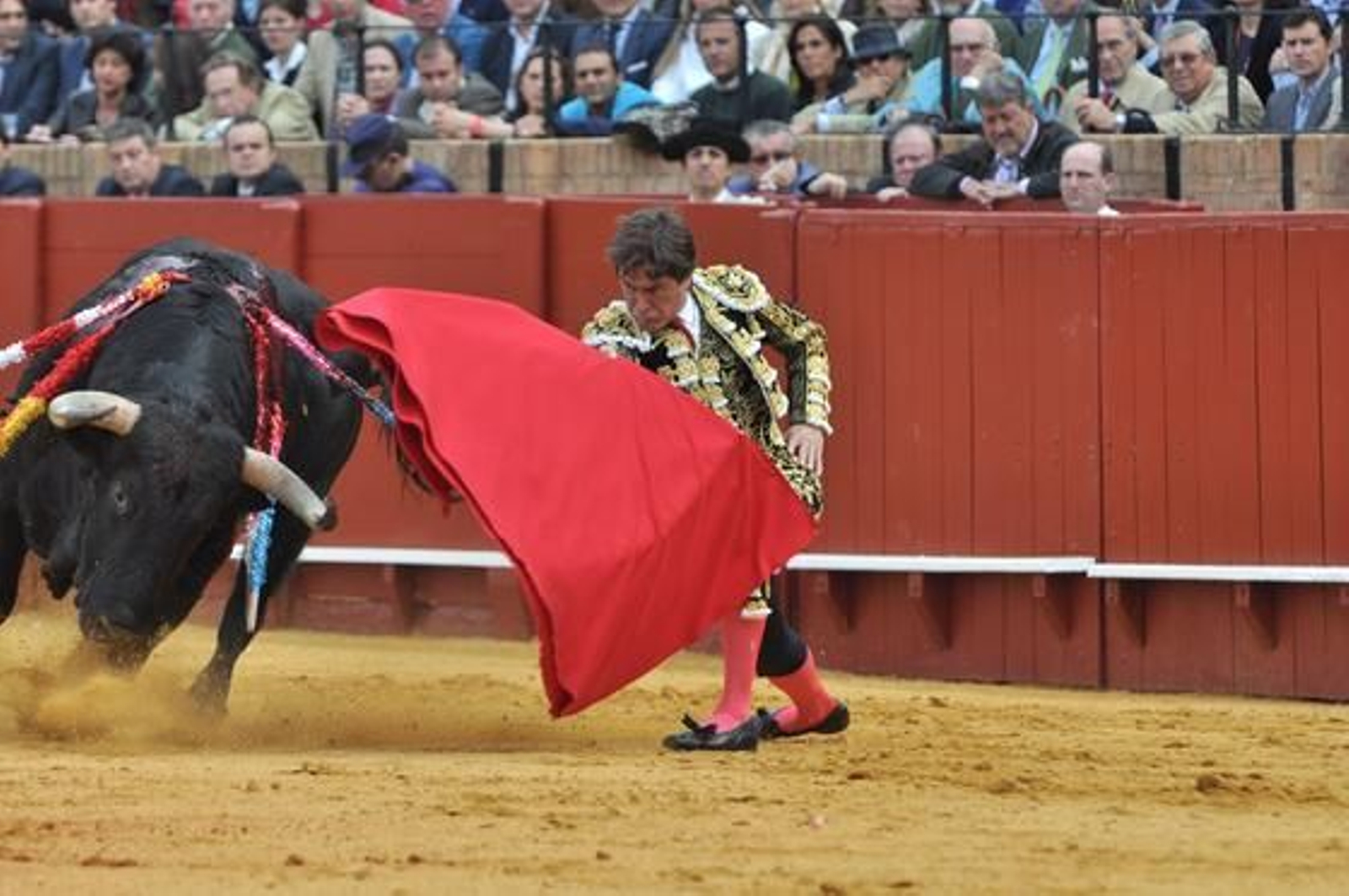 Una tarde emotiva de brindis