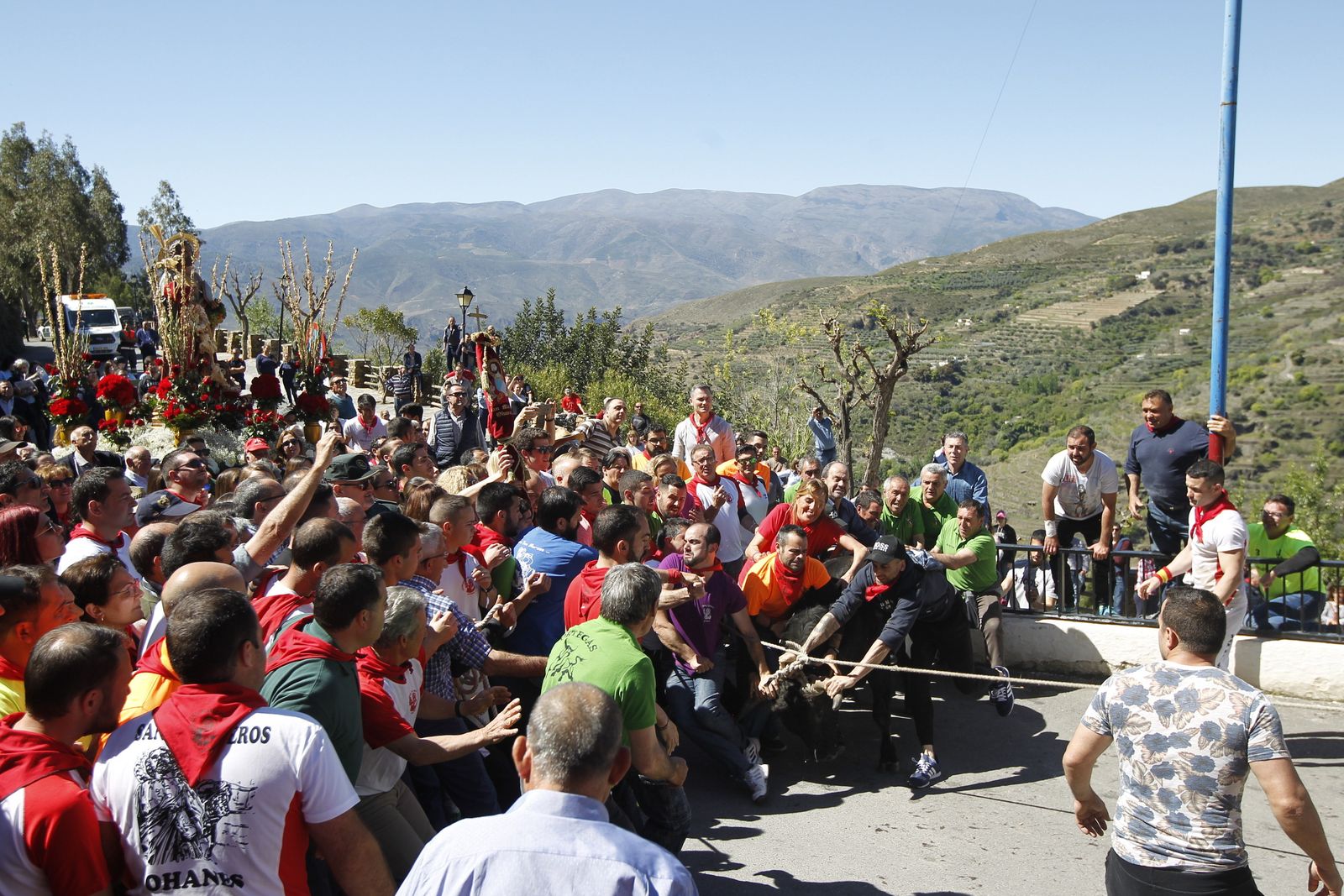 Fotogalería Tosos Ensogaos Ohanes. Fiestas San Marcos.