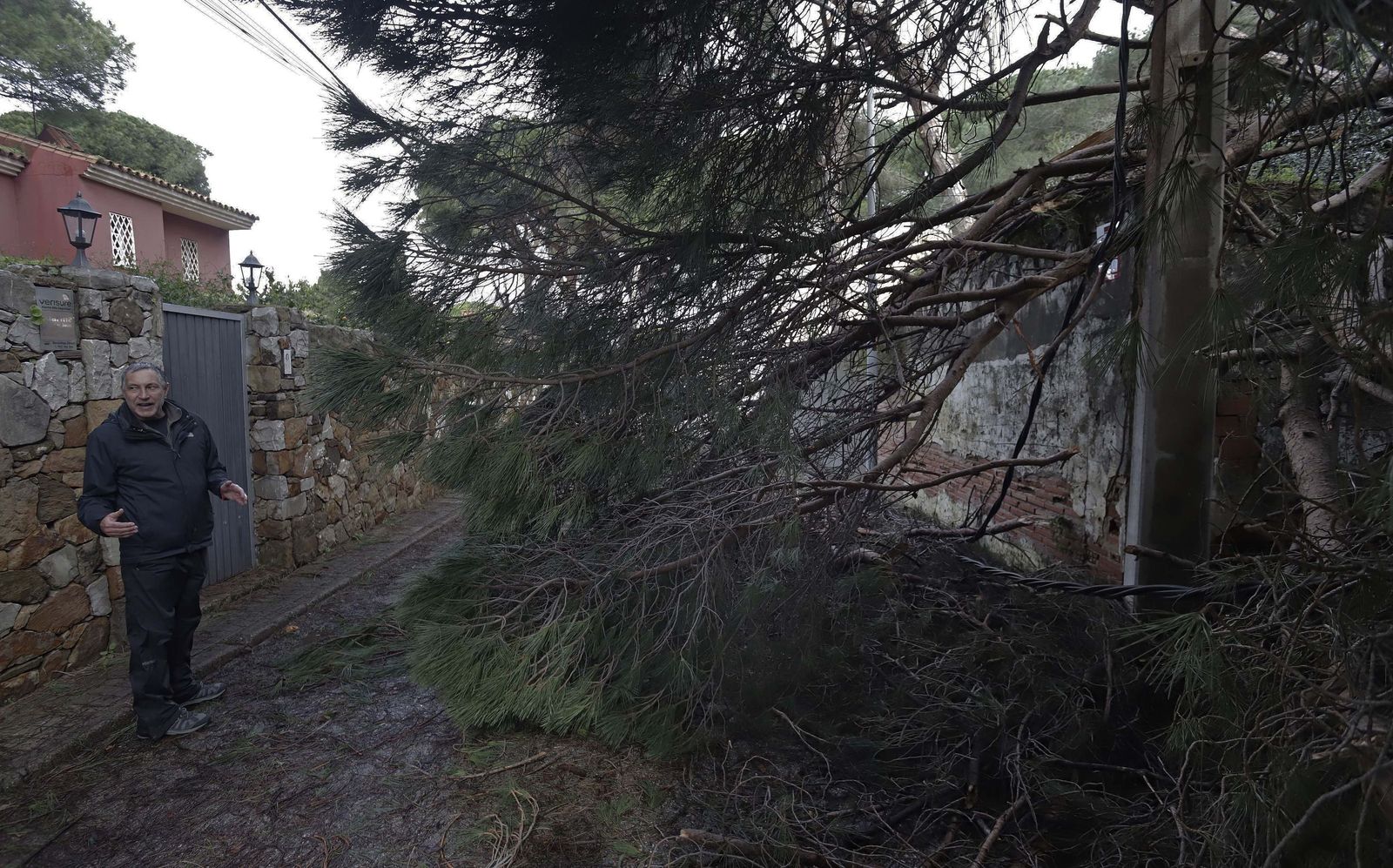 24 horas sin electricidad en la urbanización Los Pinos por árboles caídos tras la borrasca Kristin, en imágenes