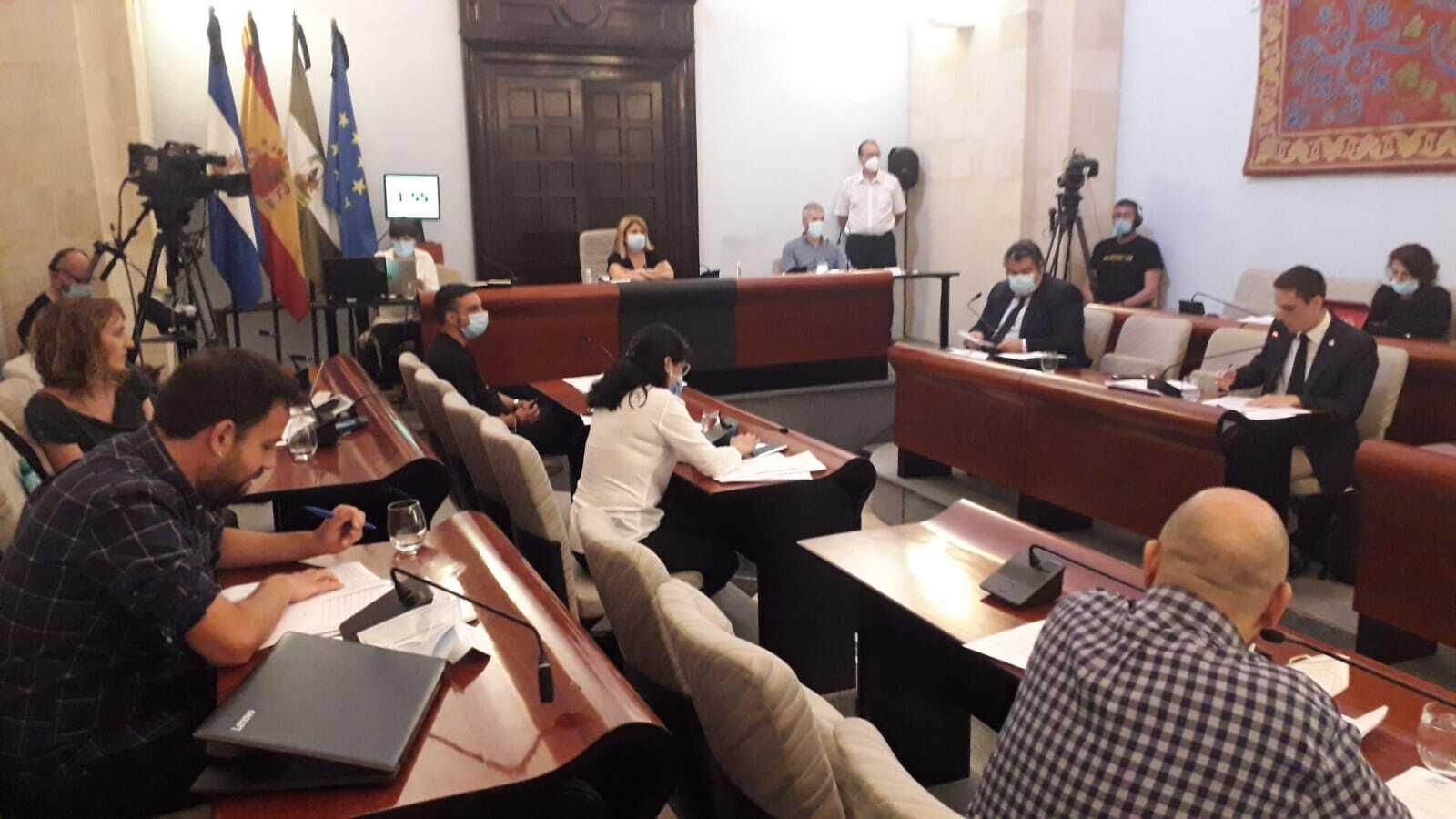 Un momento de la celebración del pleno municipal.