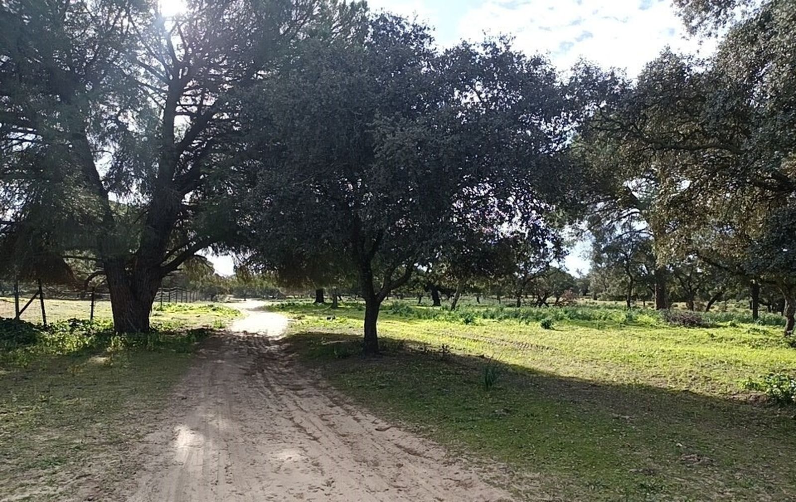 El bello paisaje que nos aguarda en el Alcornocal de la Mocheta.