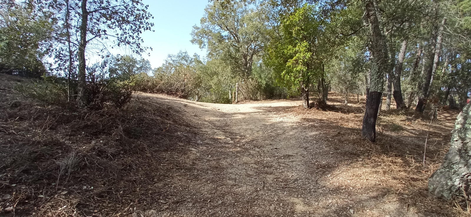 Las imágenes de la ruta de la Dehesa de Valdelama: De Los Marines a Fuenteheridos y vuelta