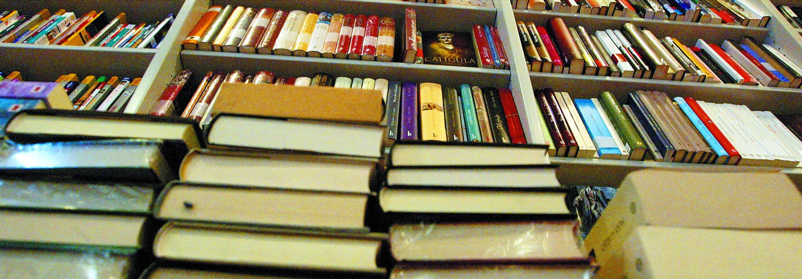 Dónde descargar gratis y de forma legal los libros que han entrado dentro del dominio público este año