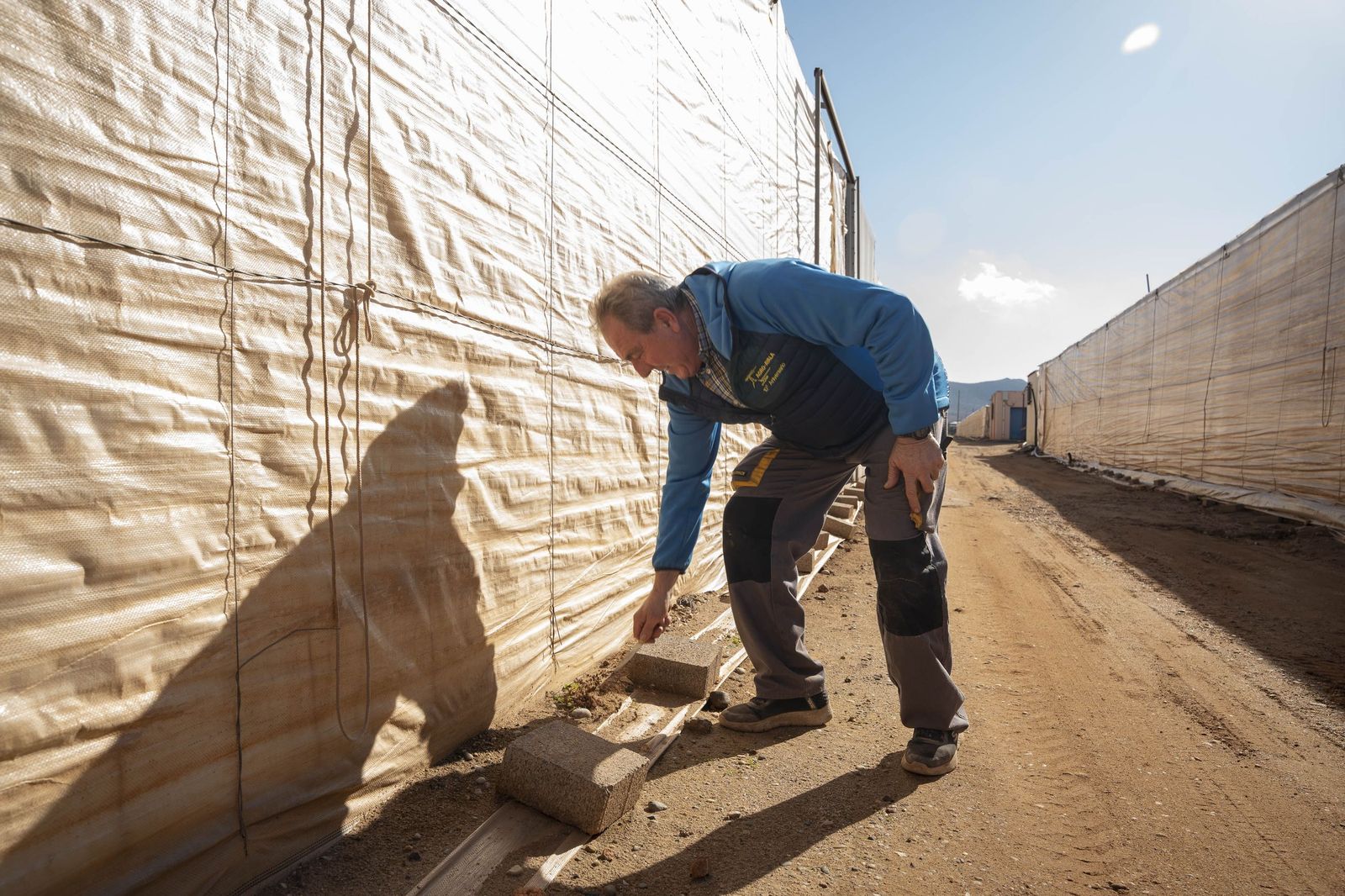La primavera se planta en invierno entre sandías y tomates almerienses