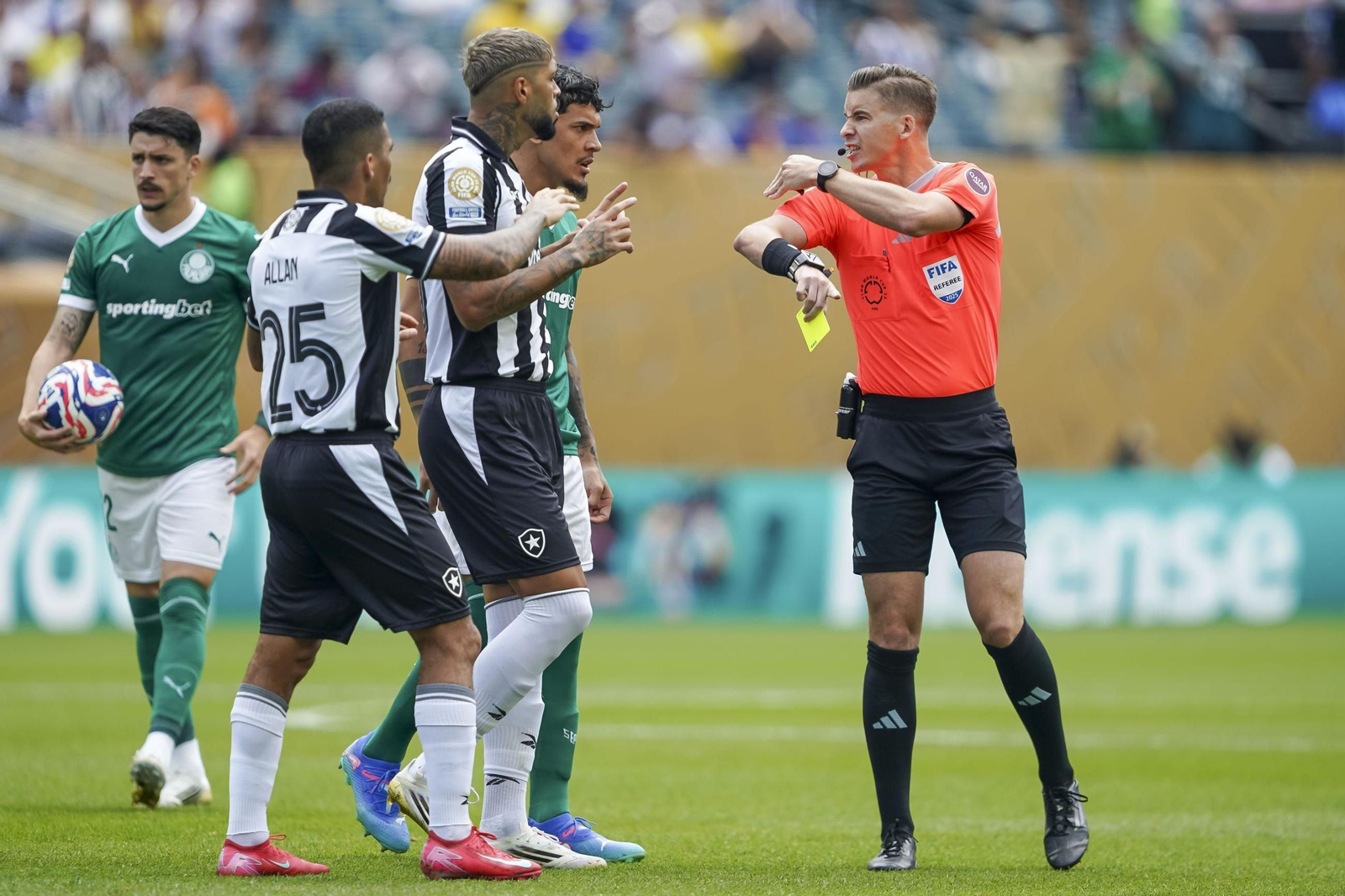 Palmeiras-Botafogo (61).jpg