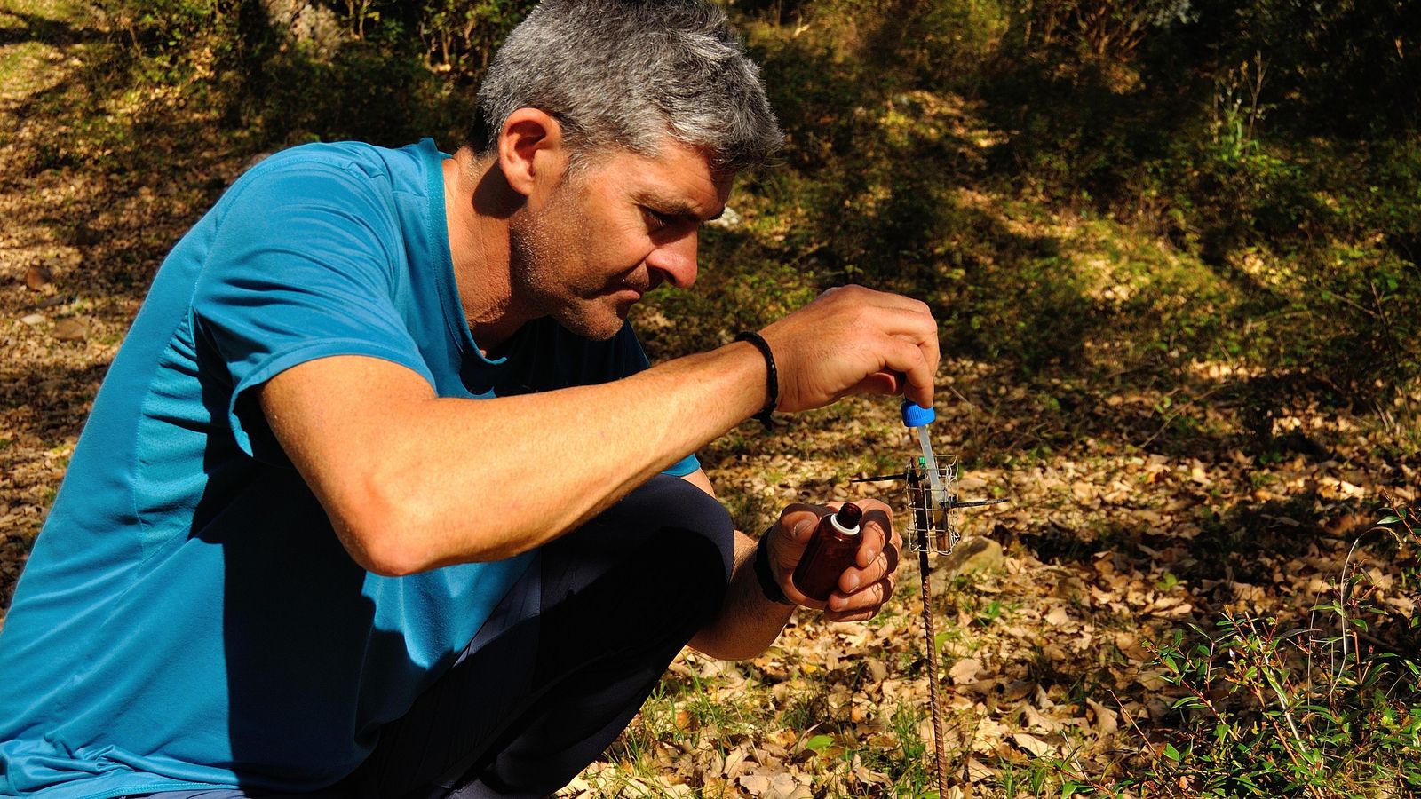 Reposición de los atrayentes.