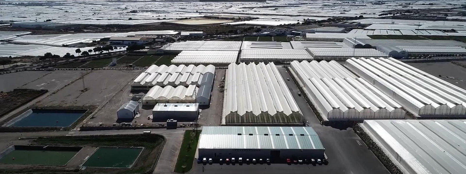 Centro de Investigación de Sakata.