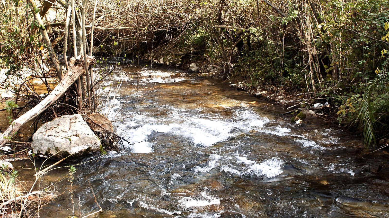 Curso del río Majaceite a la altura de Benamahoma