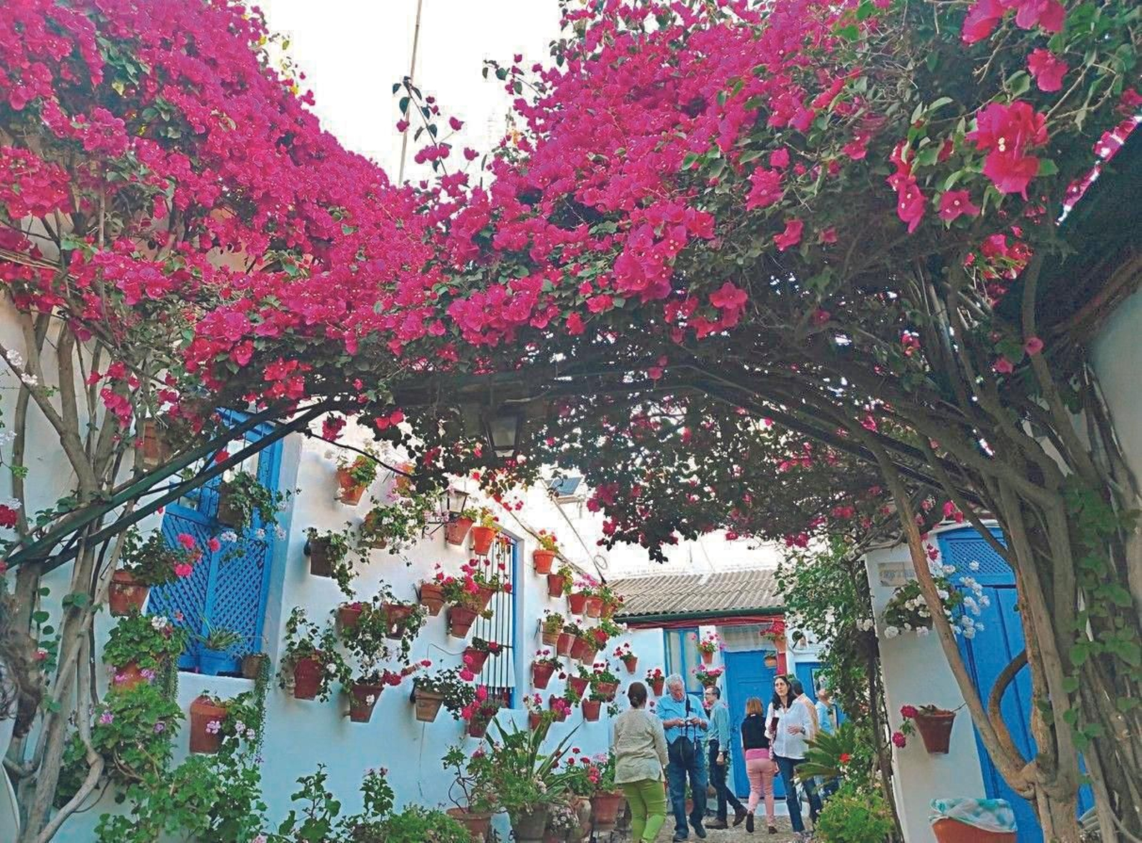 Guía de los Patios: Marroquíes, 6