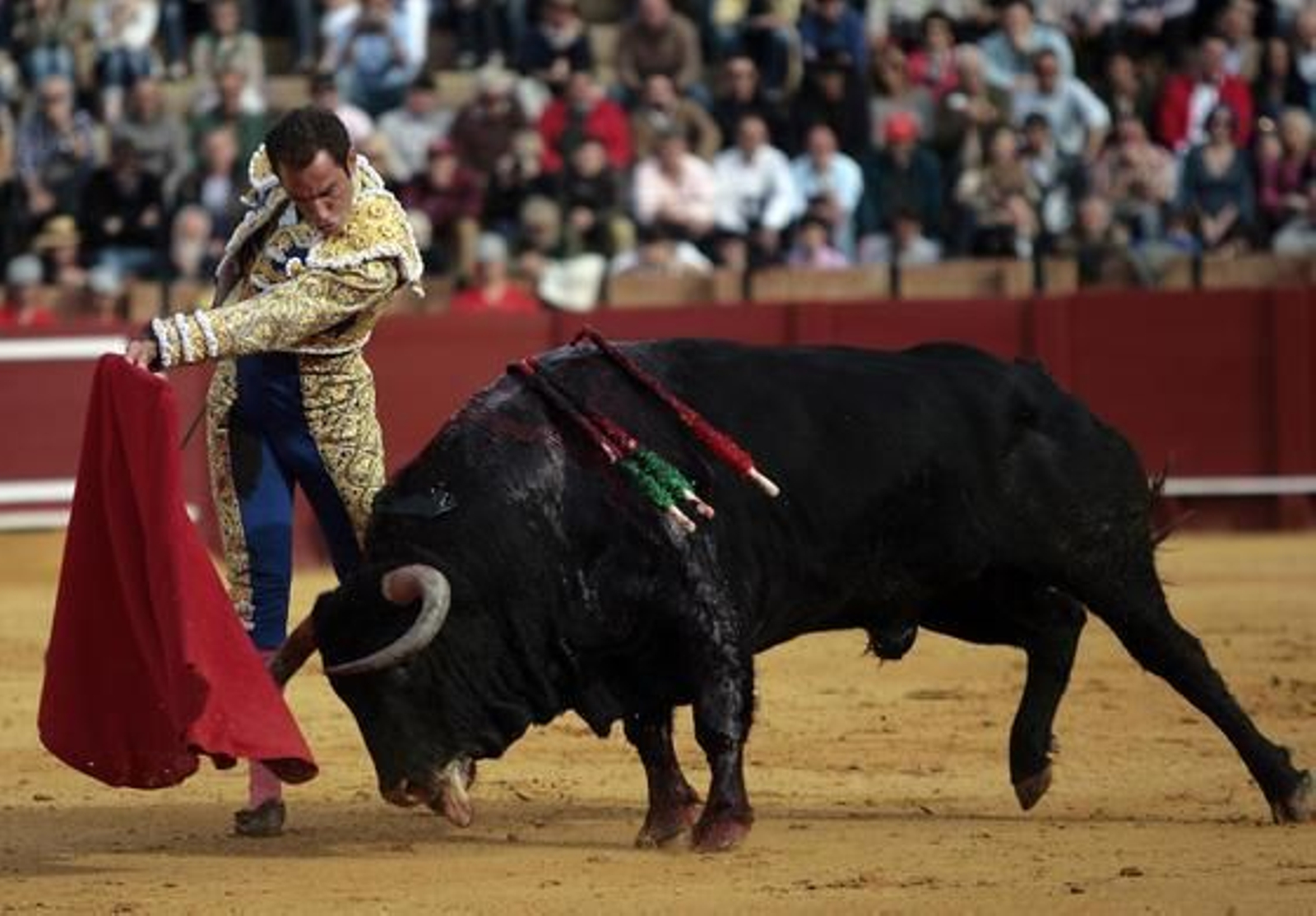 El diestro Salvador Cortés abrió la tarde en la Maestranza.

Foto: Juan Carlos Muñoz