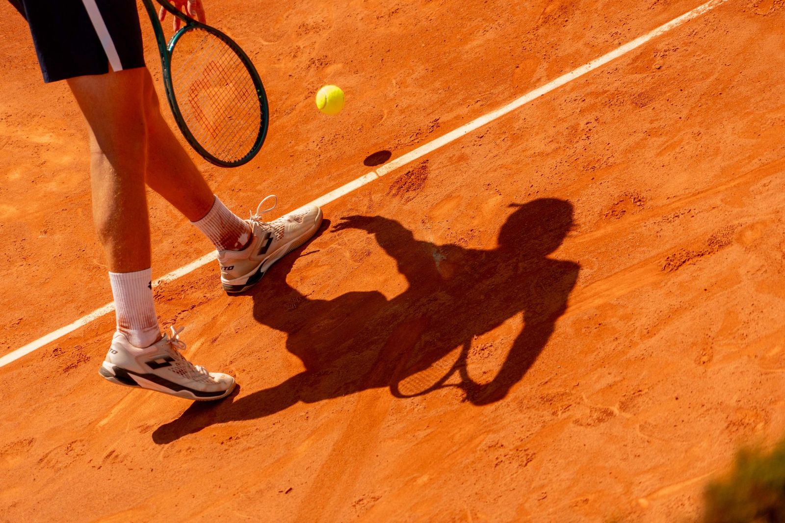 Buse - Taberner (20).jpg