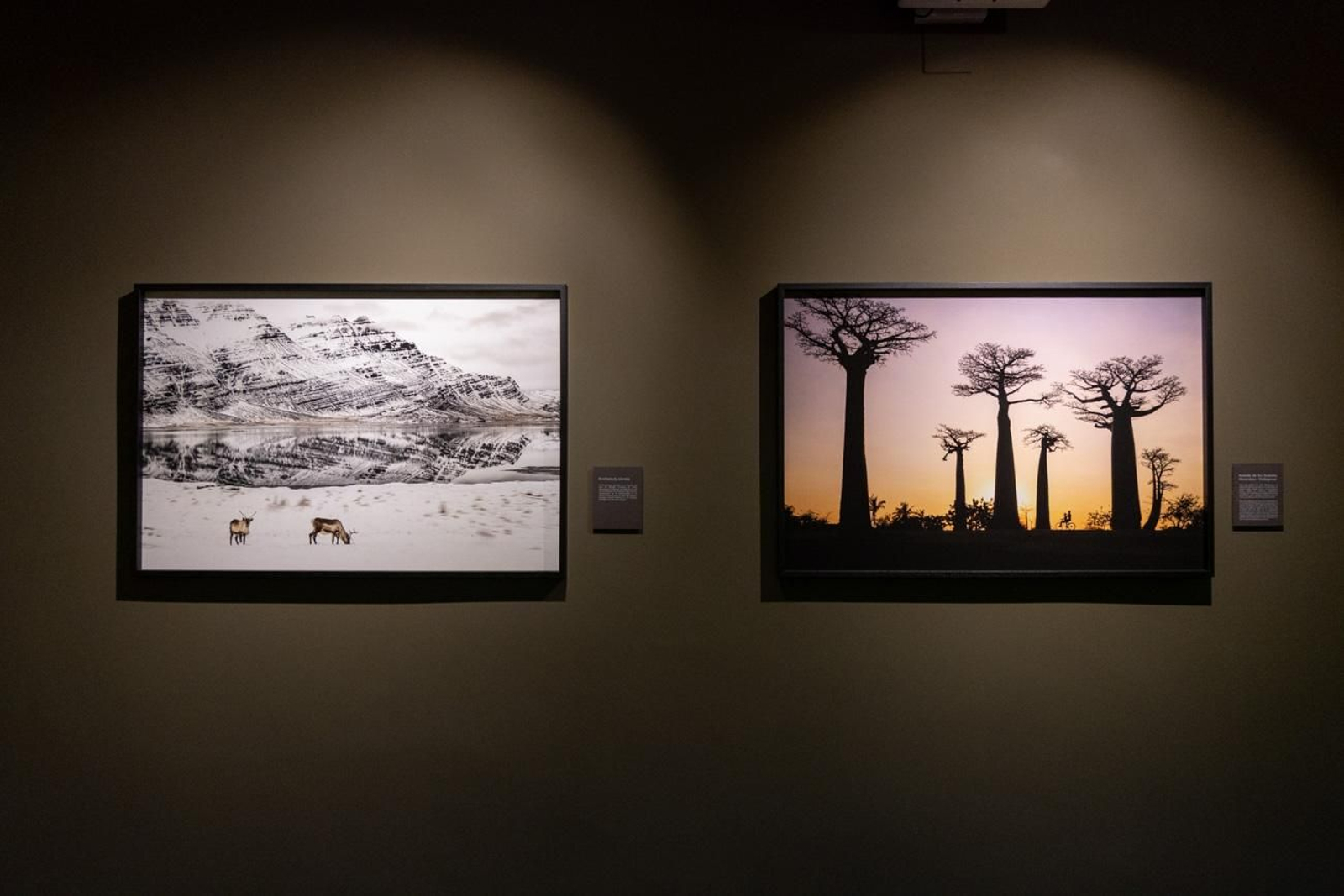 One Health en imágenes: la fotogalería de Katy Gómez que te hará reflexionar sobre la salud global