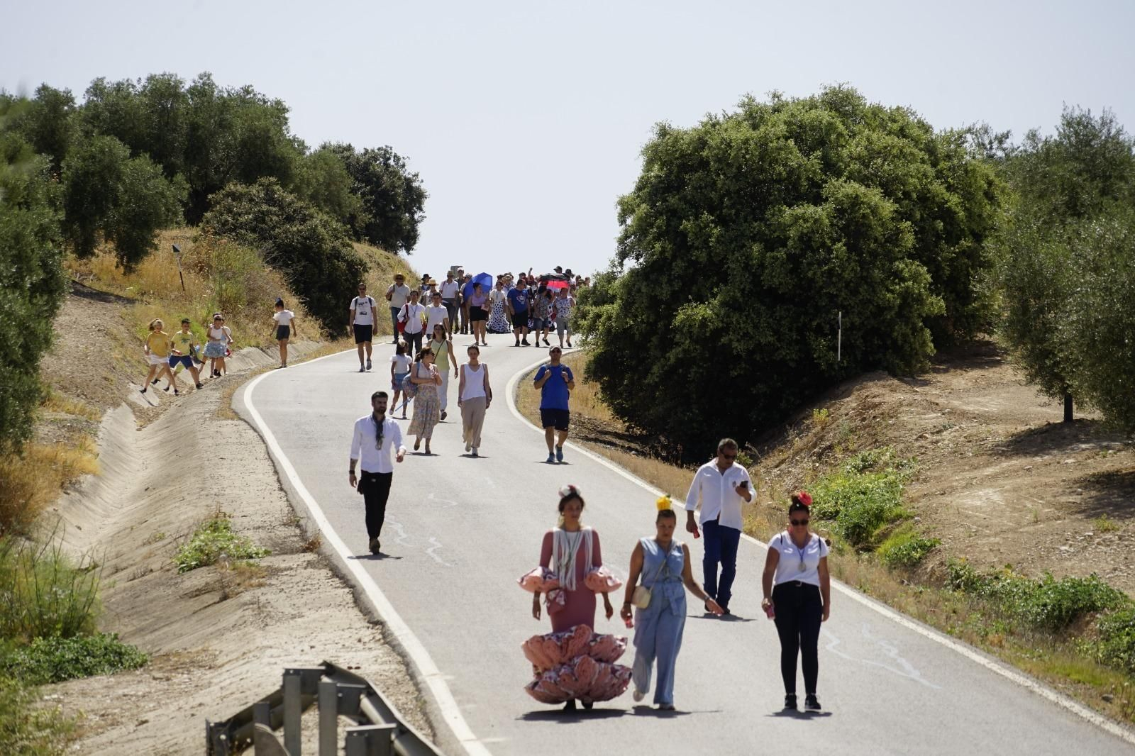 Las mejores imágenes de la romería de la Virgen de los Remedios en Aguilar de la Frontera