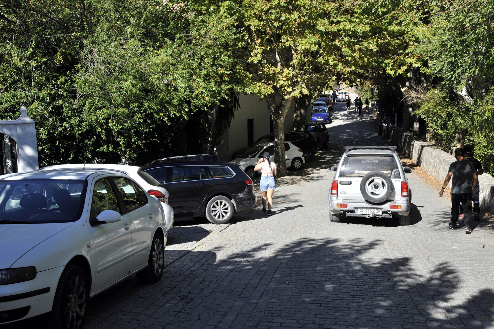 Nuevo lleno de visitantes en El Bosque