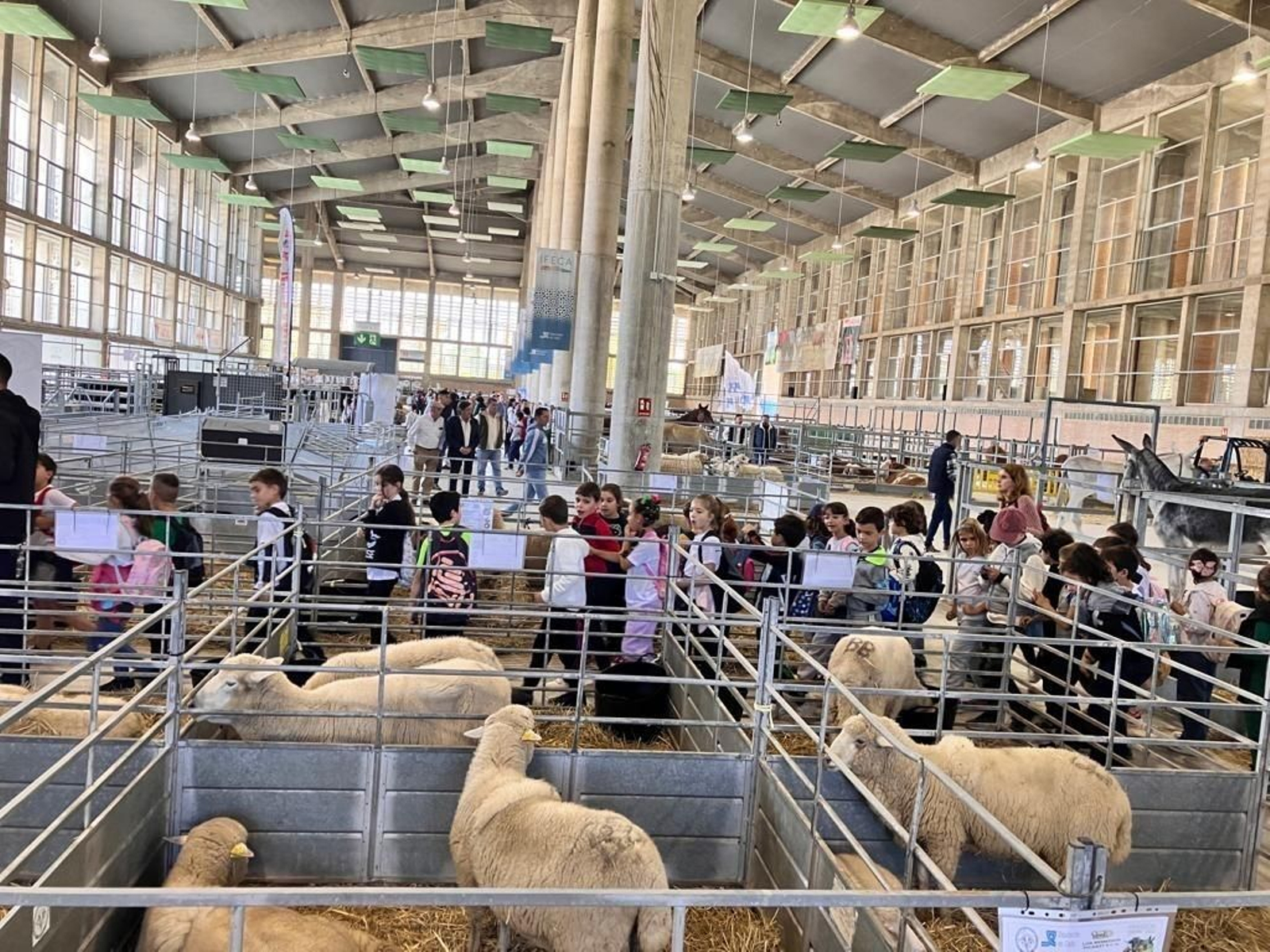 Feria de ganadería Fegasur de Jerez, cancelada este año por la lengua azul