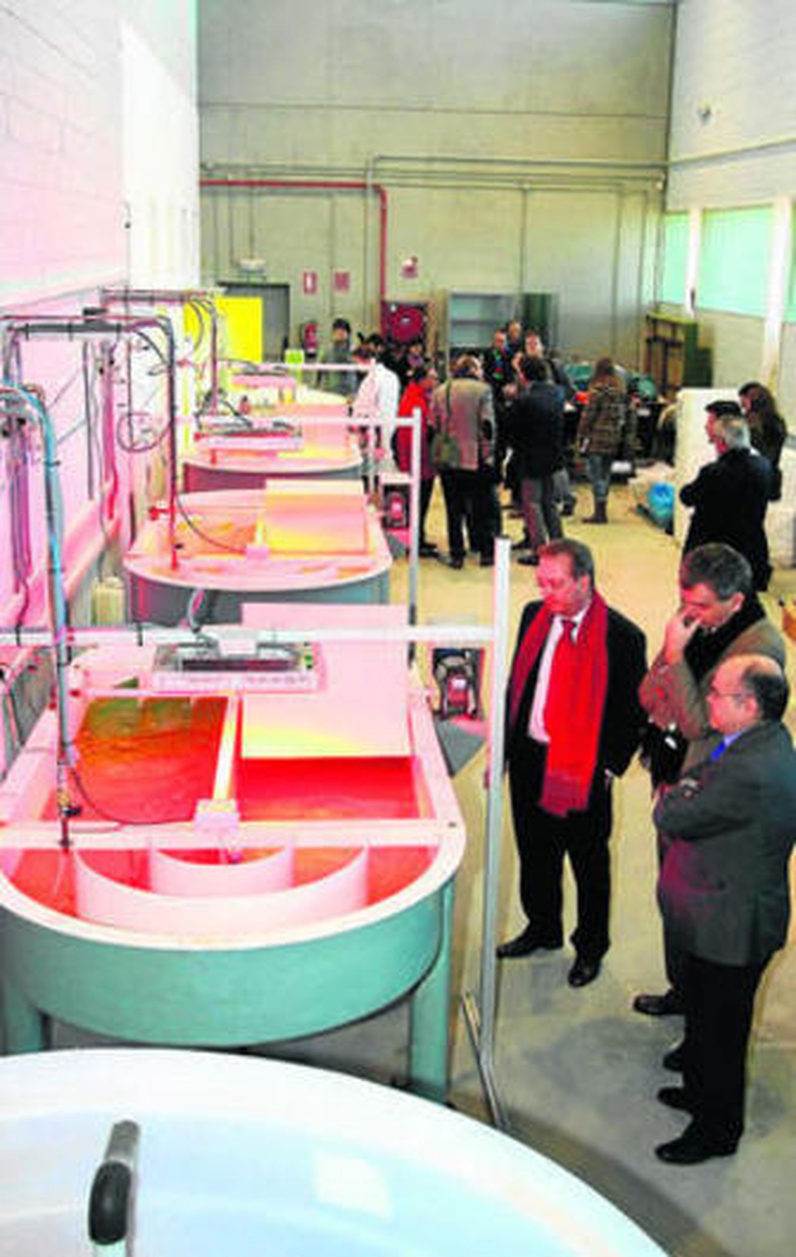 Visita a las instalaciones del proyecto de investigación con microalgas.