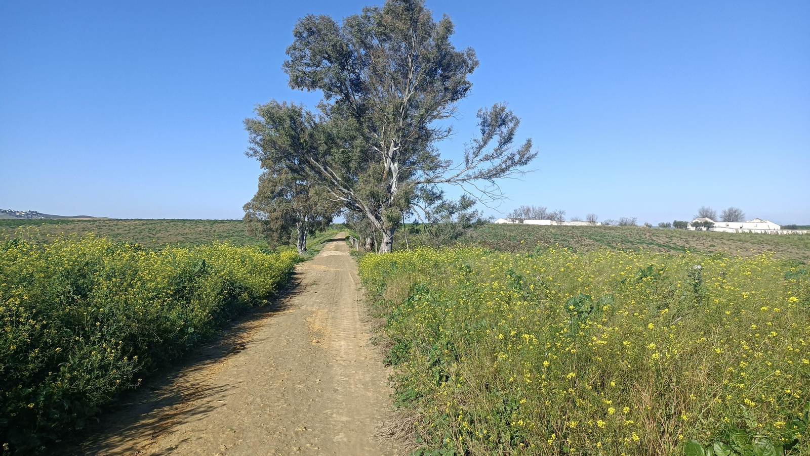 A la derecha, el Cortijo de Villadiego