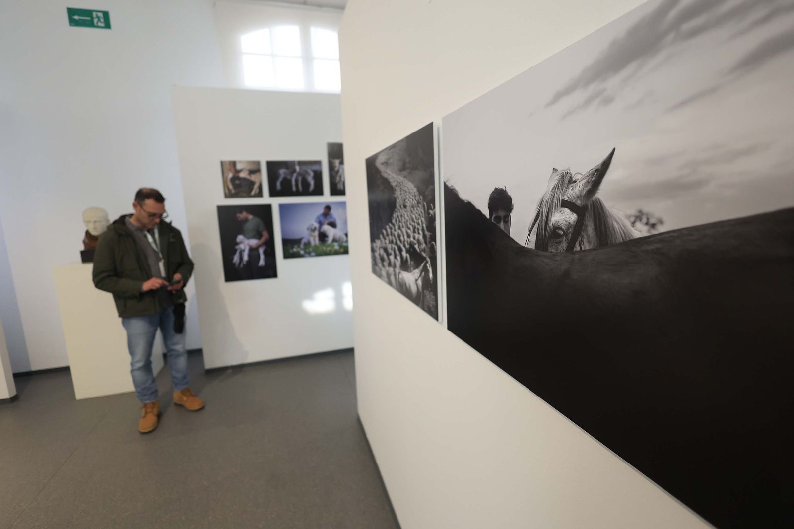 Fotos de la exposición 'Yerba, el corazón verde de la transhumancia' de Katy Muñoz