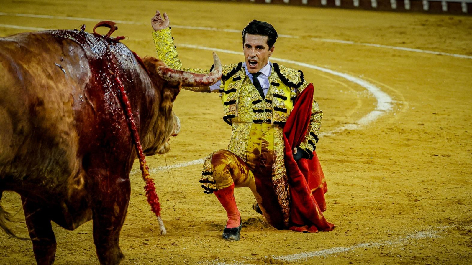 Las imágenes de la corrida de toros en El Puerto: Morante, Talavante y Juan Ortega