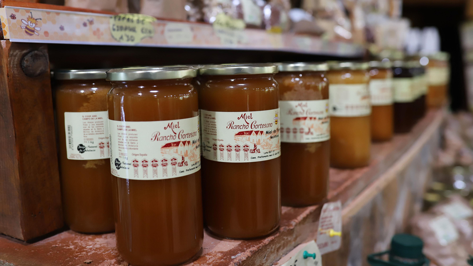 Jerez celebra el Día Mundial de las Abejas Jerez celebra el Día Mundial de las Abejas