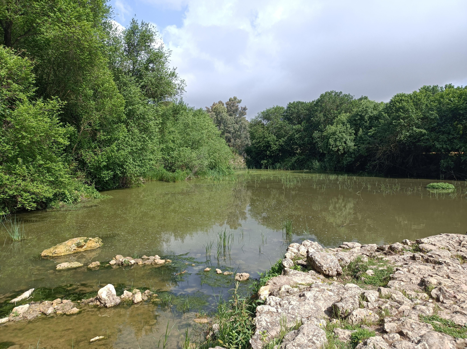Ruta por el Guadaíra, en Alcalá
