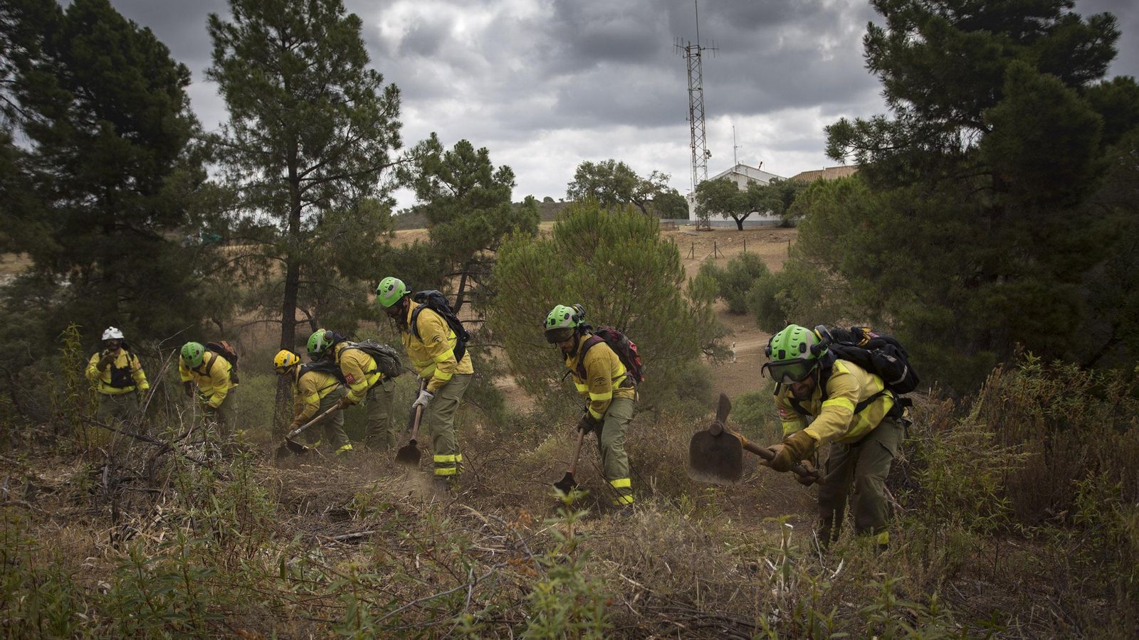 Miembros de la Brica con sede en Aznalcóllar, una de las tres bases de Andalucía. Las otras dos están en Granada y Málaga.