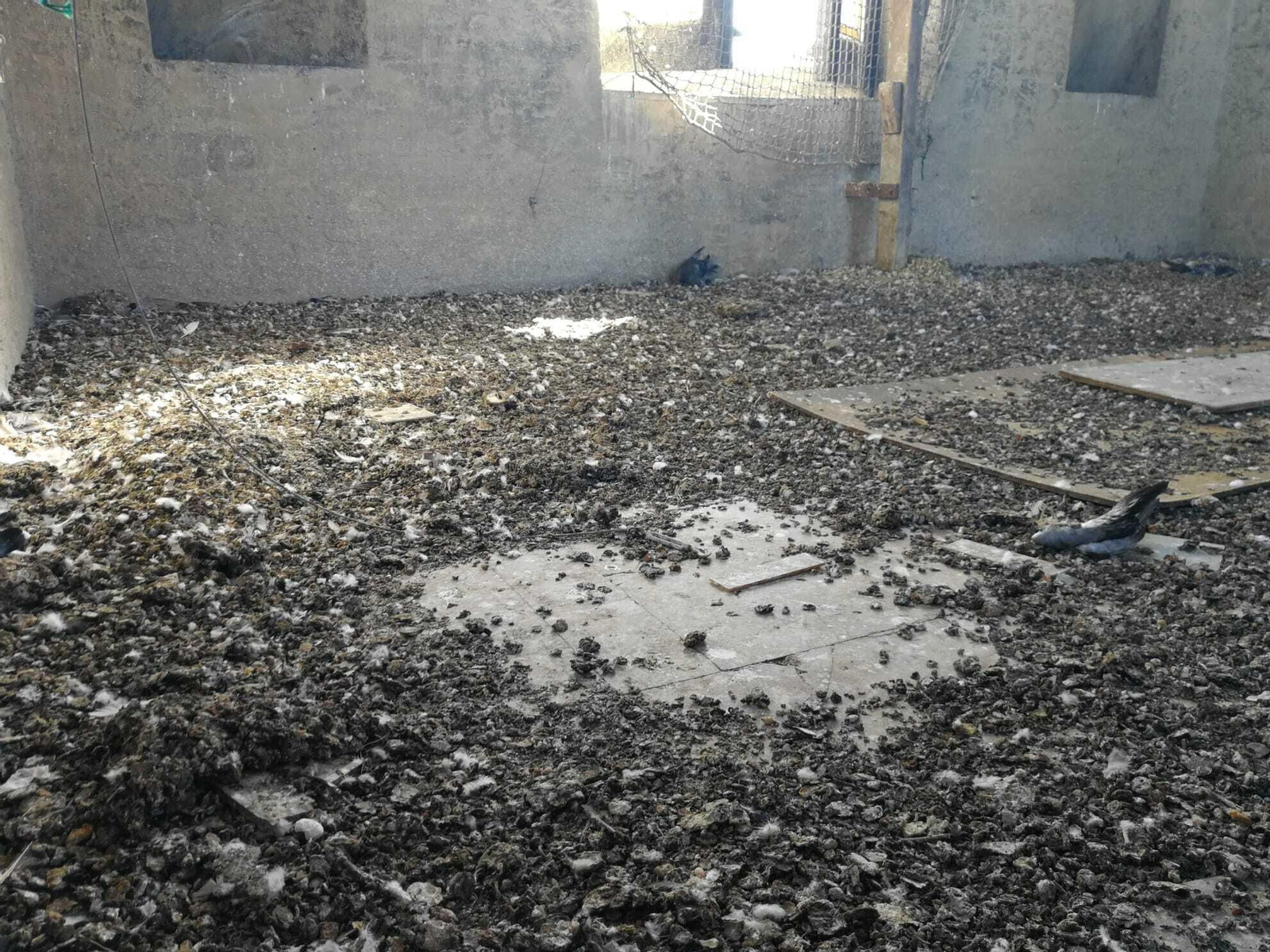 Foto del estado de la Torre de Don Fadrique.