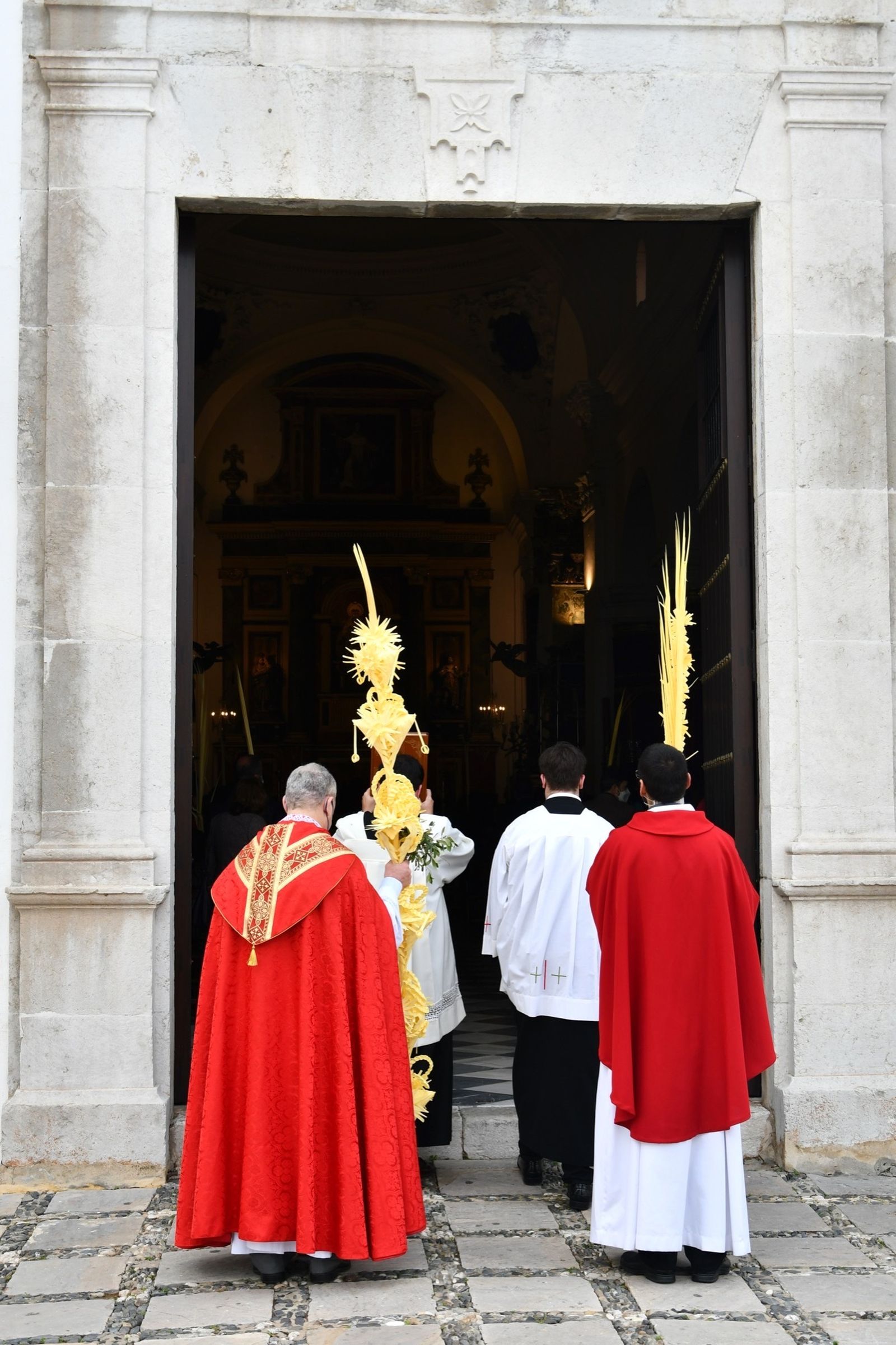 Las fotos del domingo de palmas y olivos en San Roque