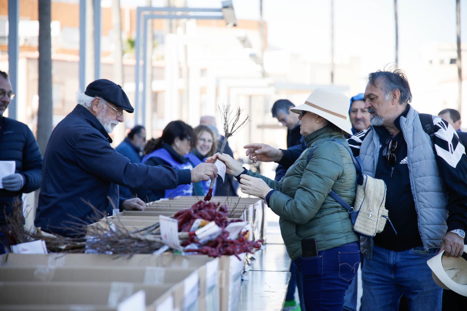 Imágenes del reparto de Parras en Alhama de Almería