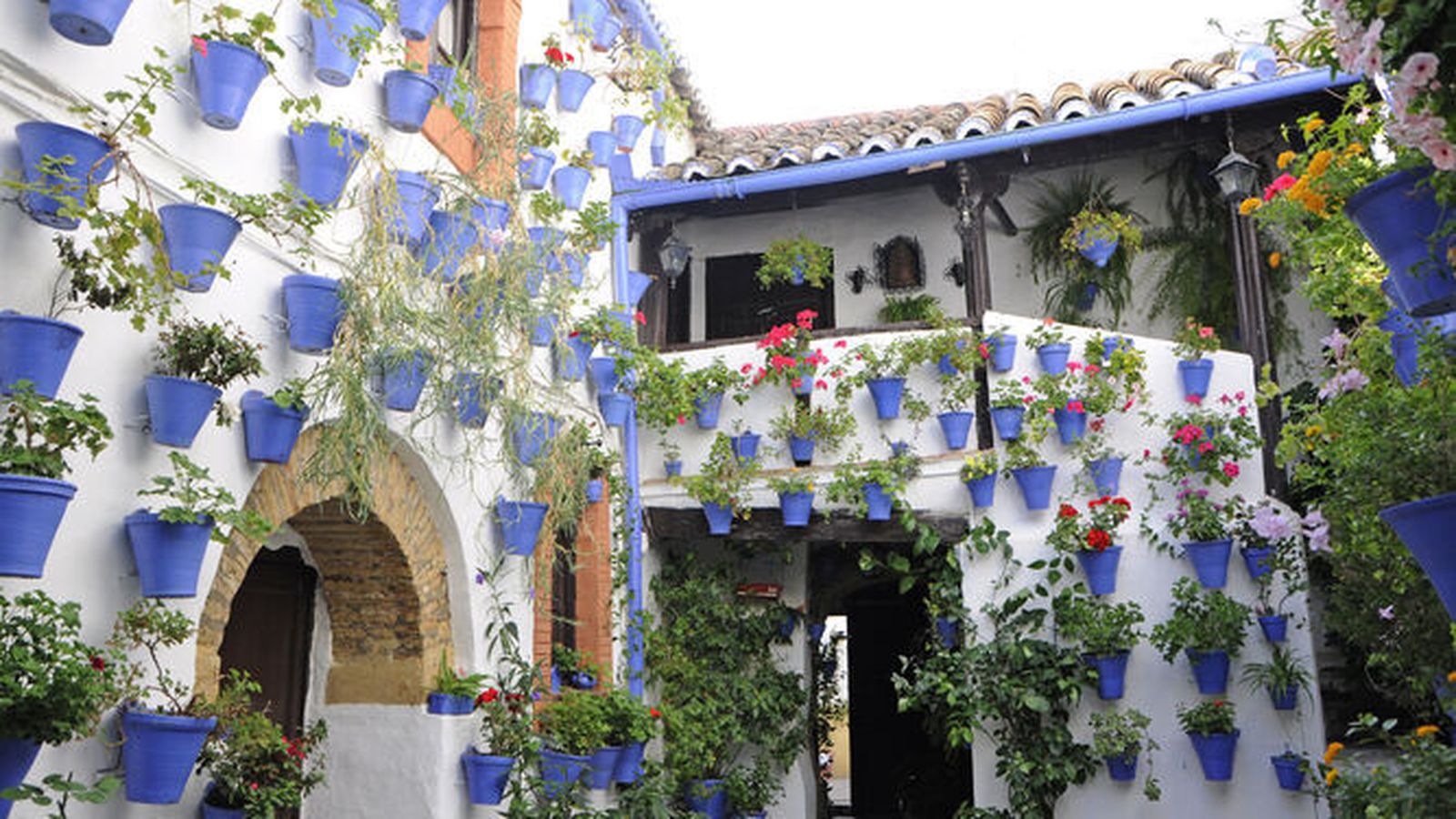Precioso patio cordobés
