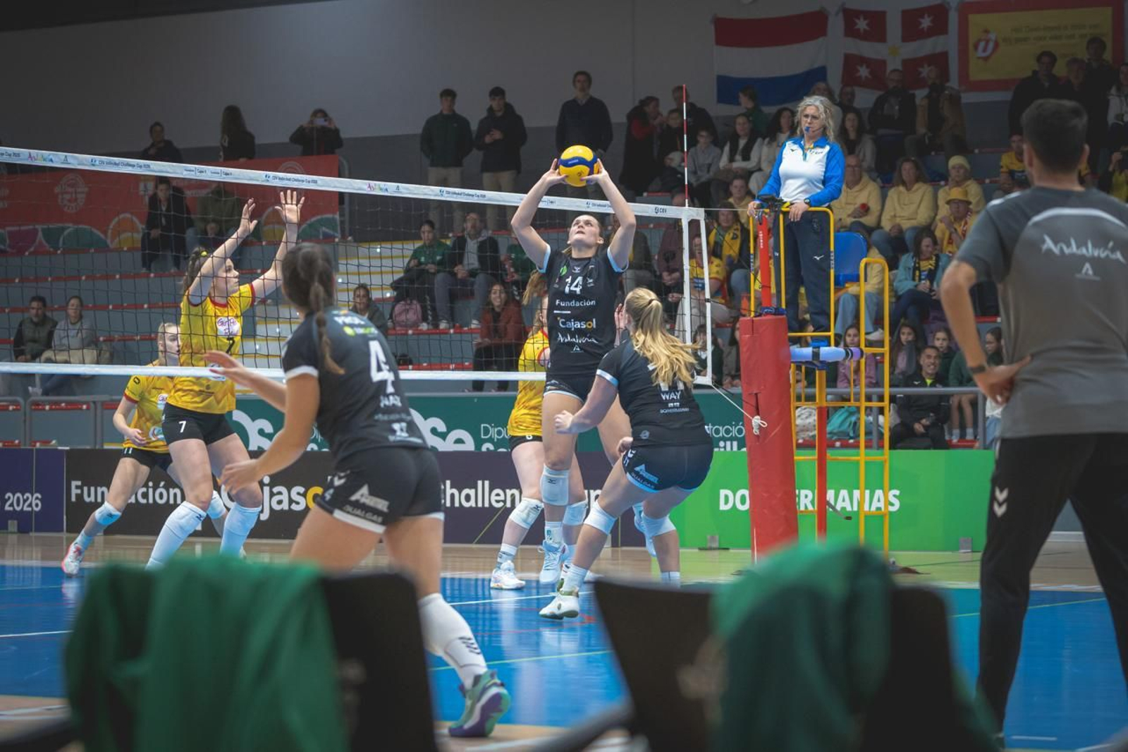 Las fotos del Fundación Cajasol Andalucía-Dynamo Apeldoorn