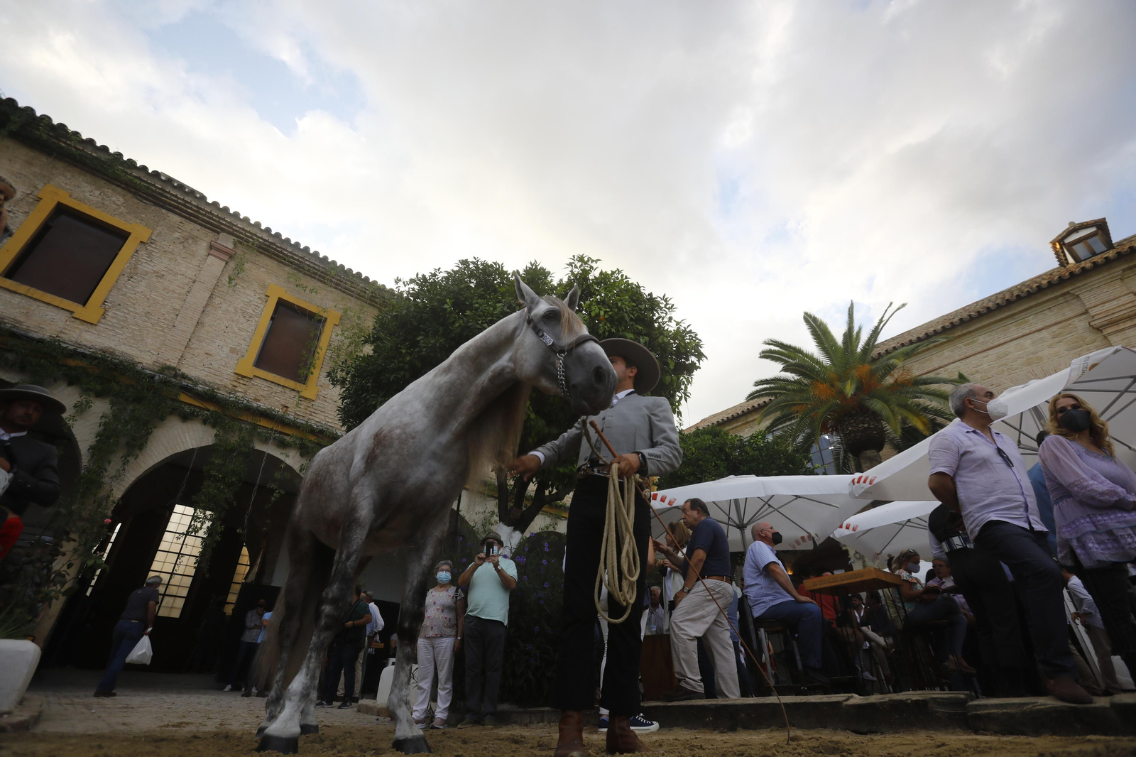 El concurso morfológico de caballos de pura raza de Cabalcor, en fotografías